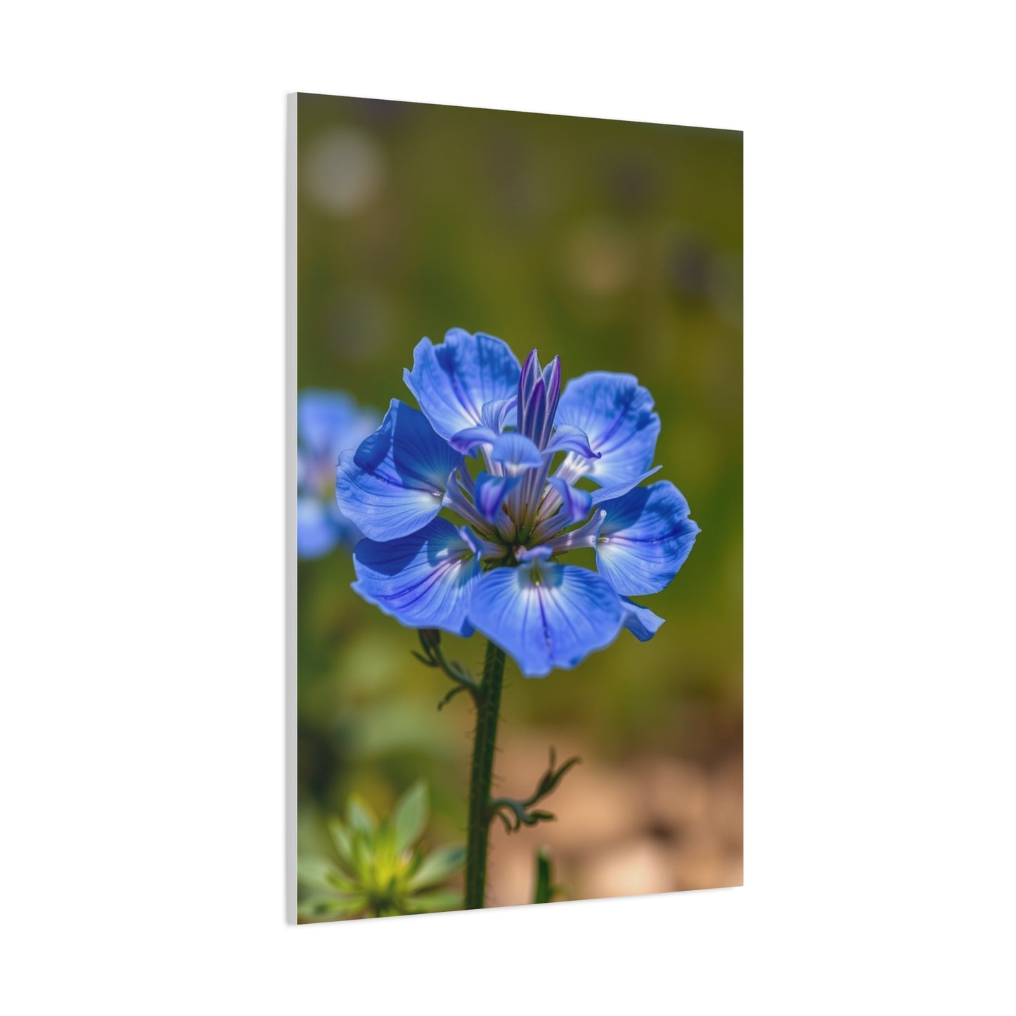 Supreme Bluebonnet Flower Art Collection Wall Art & Canvas Print