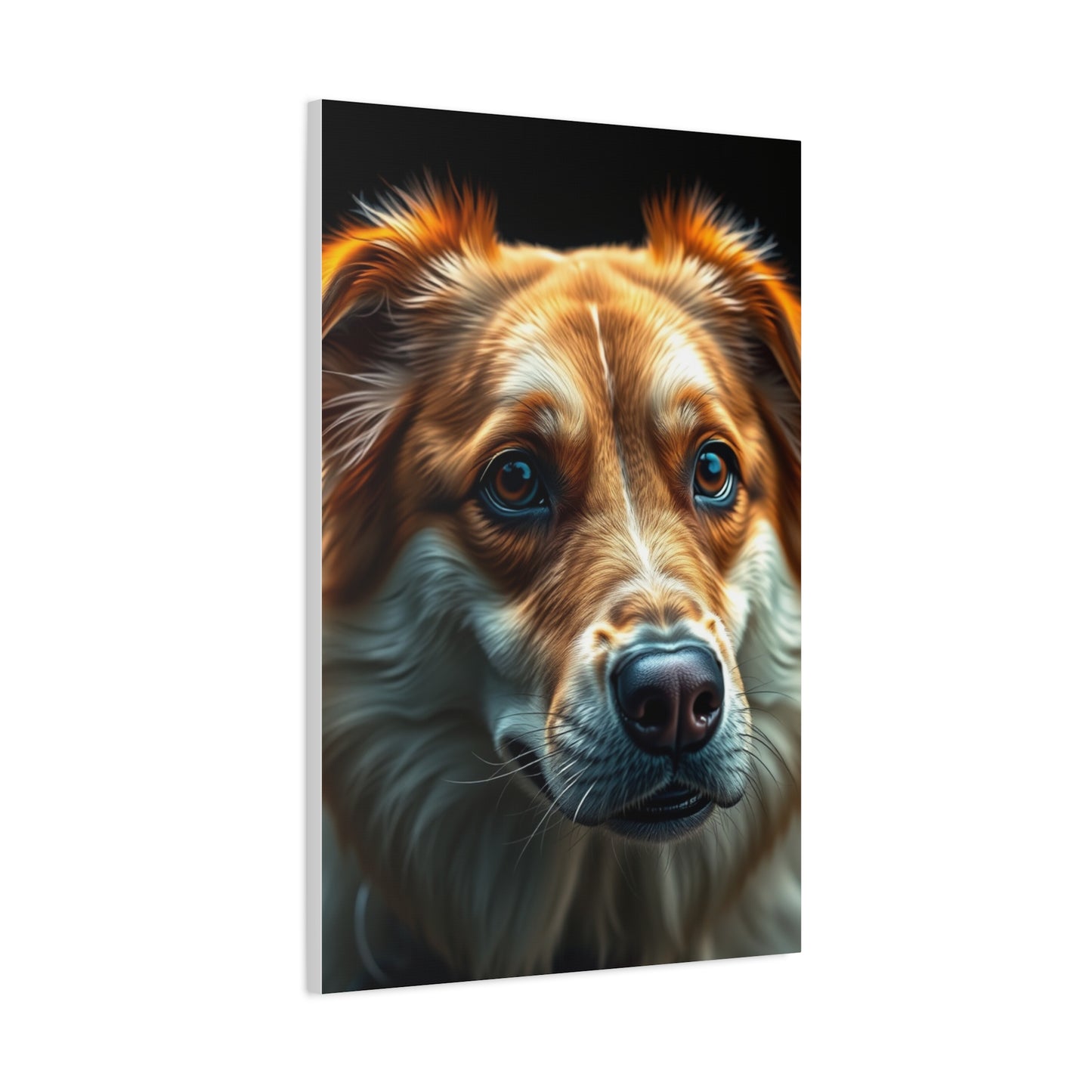 Exquisite Fido Fine Art Wall Art & Canvas Print