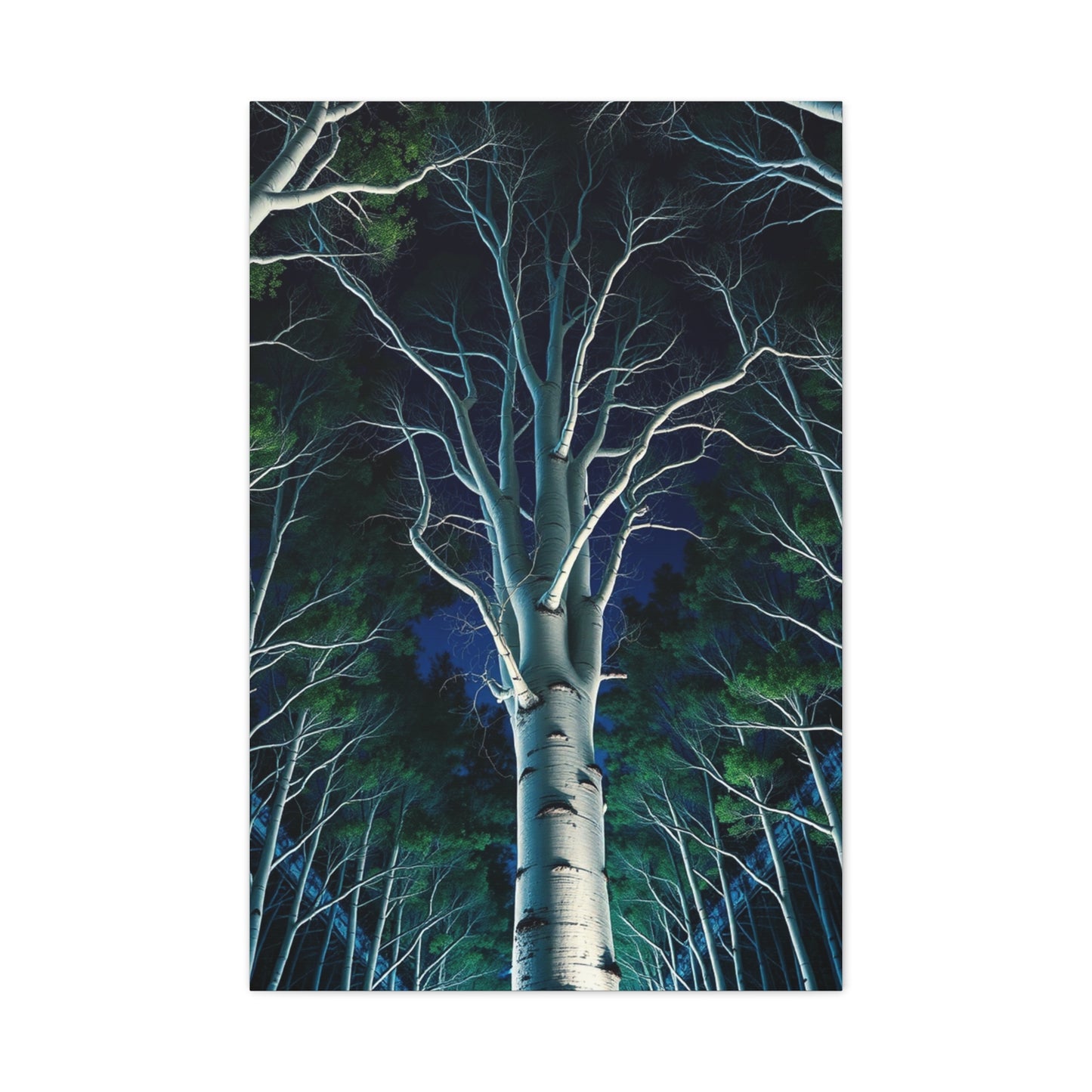 Elite Aspen Tree Art Vision Wall Art & Canvas Print