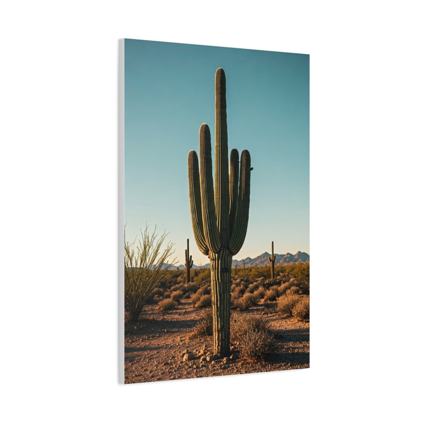 Classic Saguaro Desert Landscape Wall Art & Canvas Prints