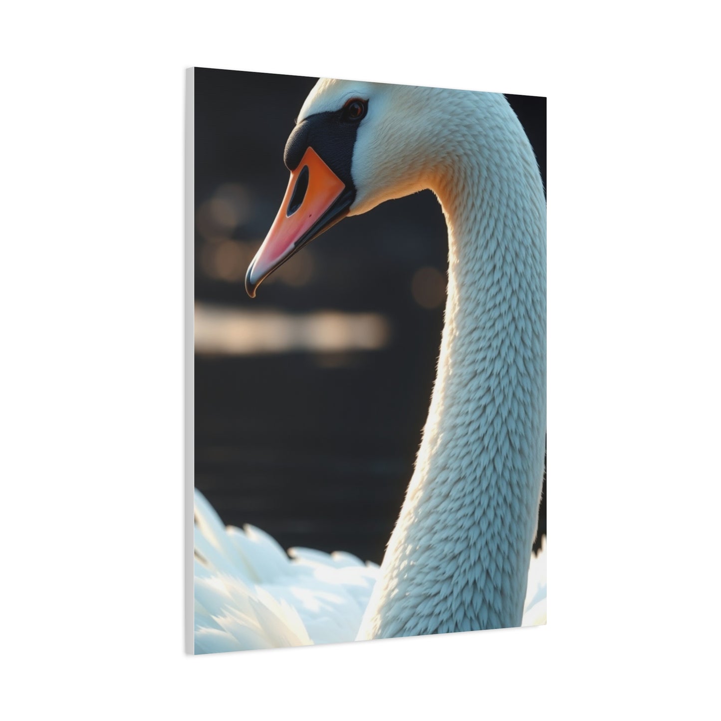 Swan Art Luxury Canvas Wall Art & Canvas Print