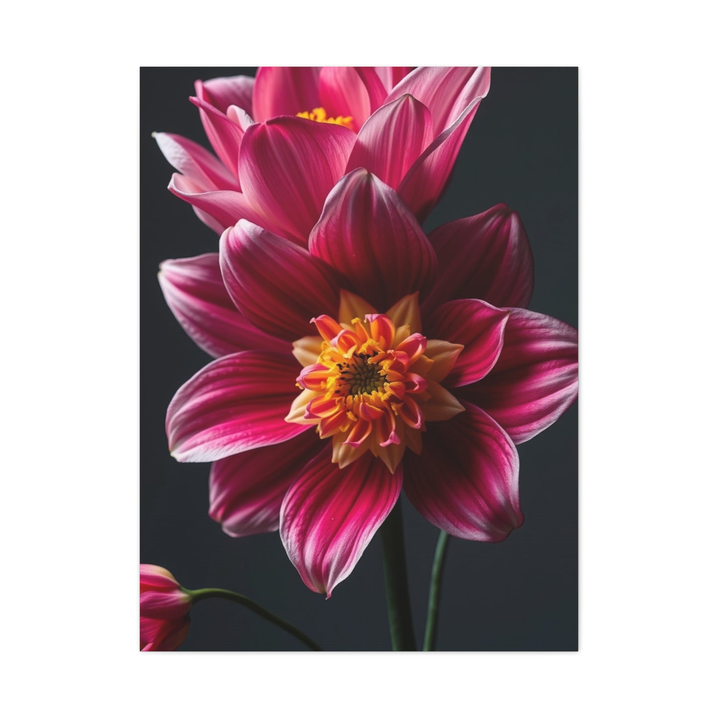 Edens Bloom Artwork Wall Art & Canvas Print