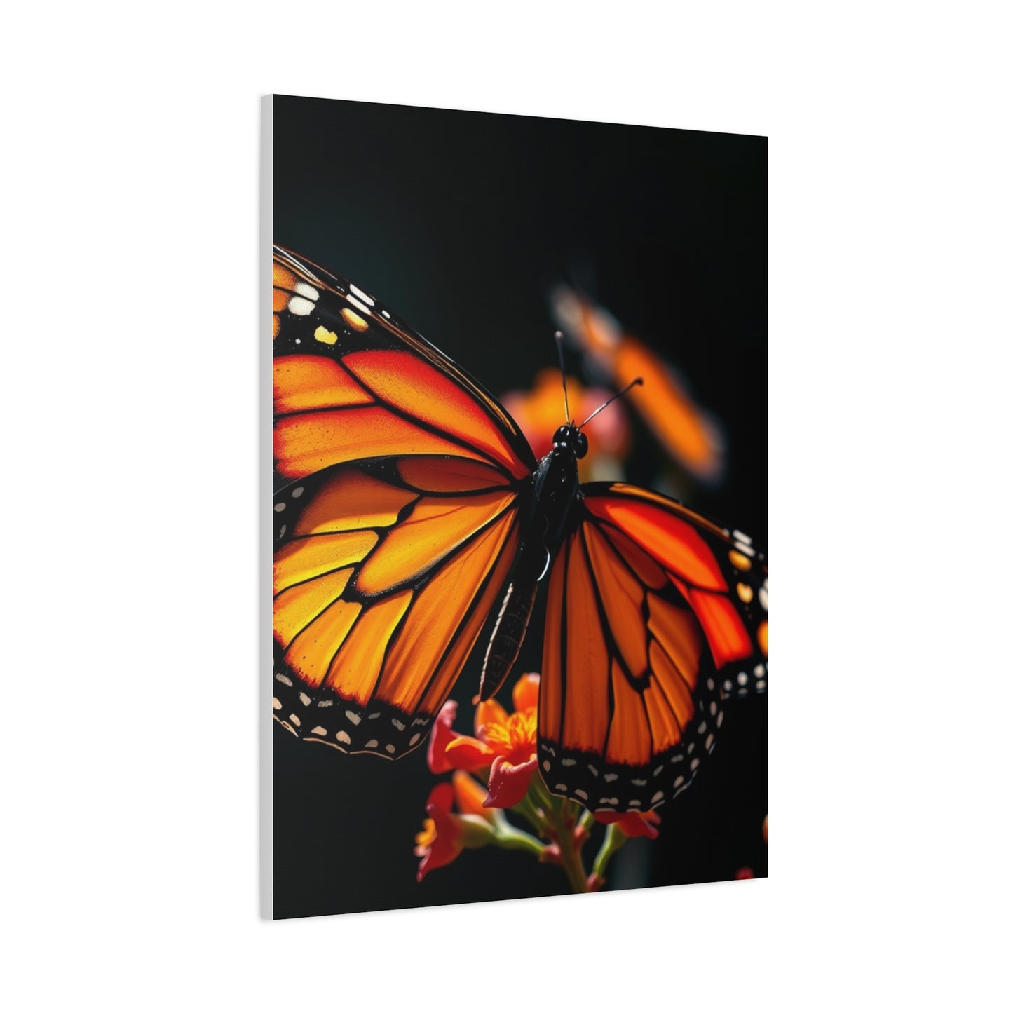 Elite Monarch Butterflies Art Vision Wall Art & Canvas Print