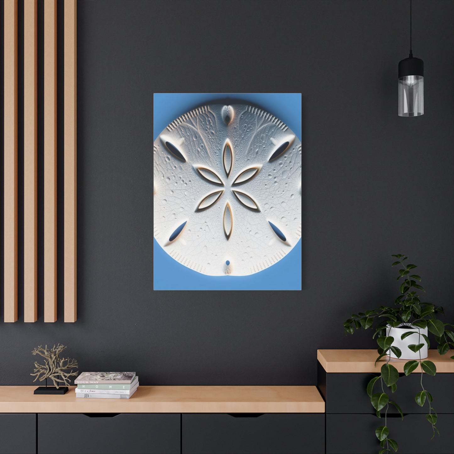 Sand Dollar Art Supreme Gallery Wall Art & Canvas Print