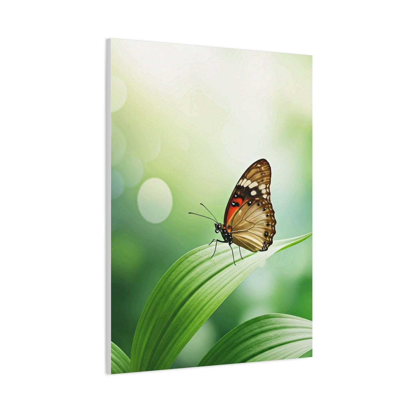 Leaf Rest Butterfly Wall Art & Canvas Prints