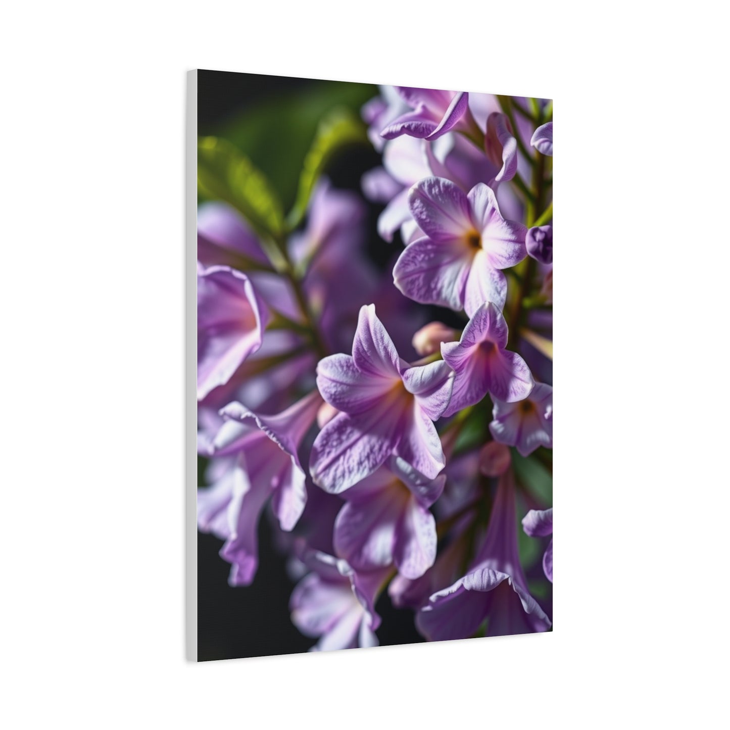 Vision Lilac Flower Art Art Wall Art & Canvas Print