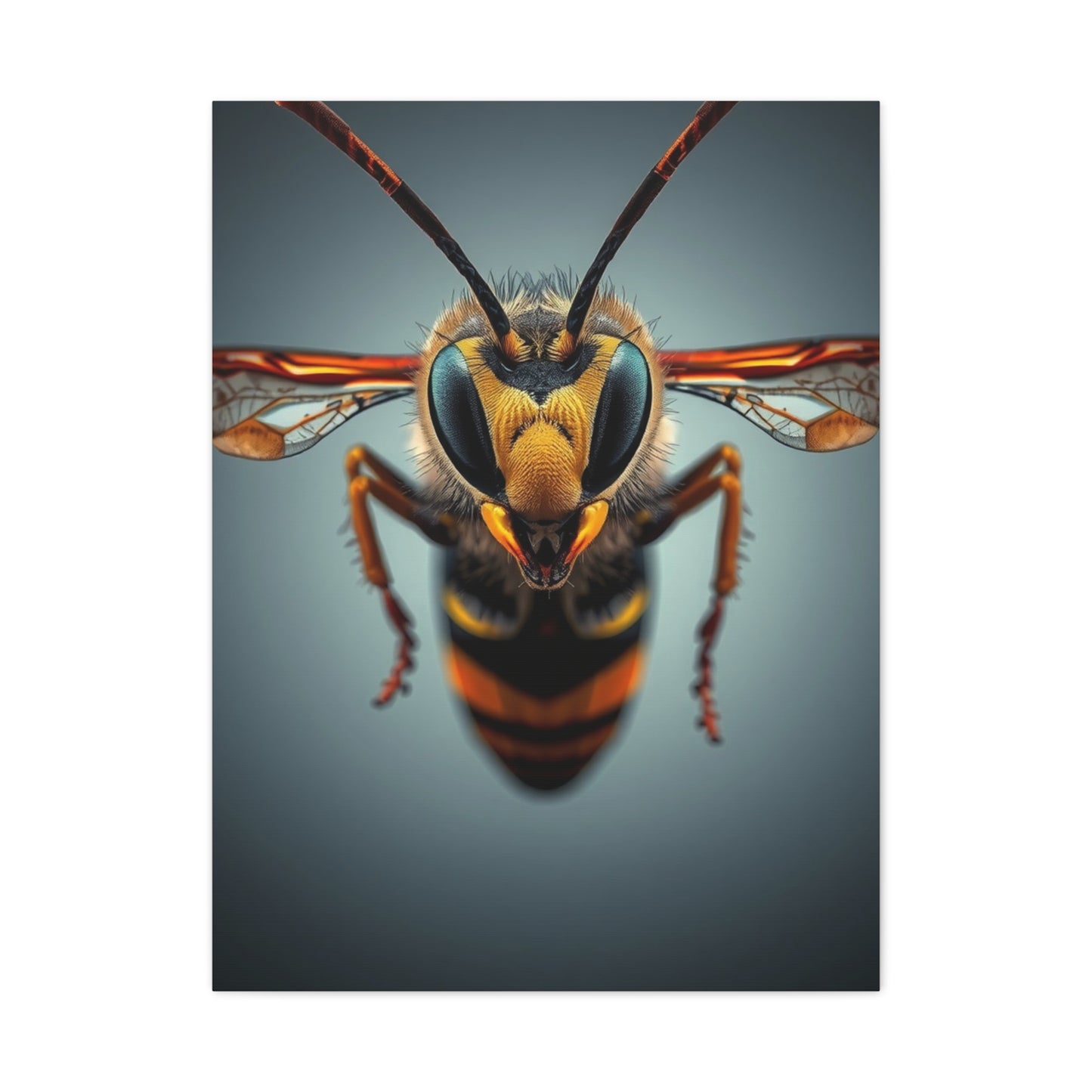 Bees, Hornet & Wasps Art Luxury Canvas Wall Art & Canvas Print