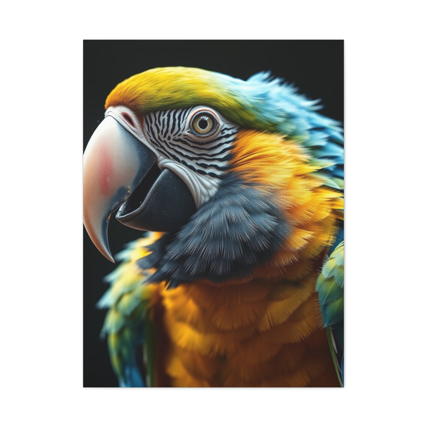 Parrot Art Refined Canvas Wall Art & Canvas Print