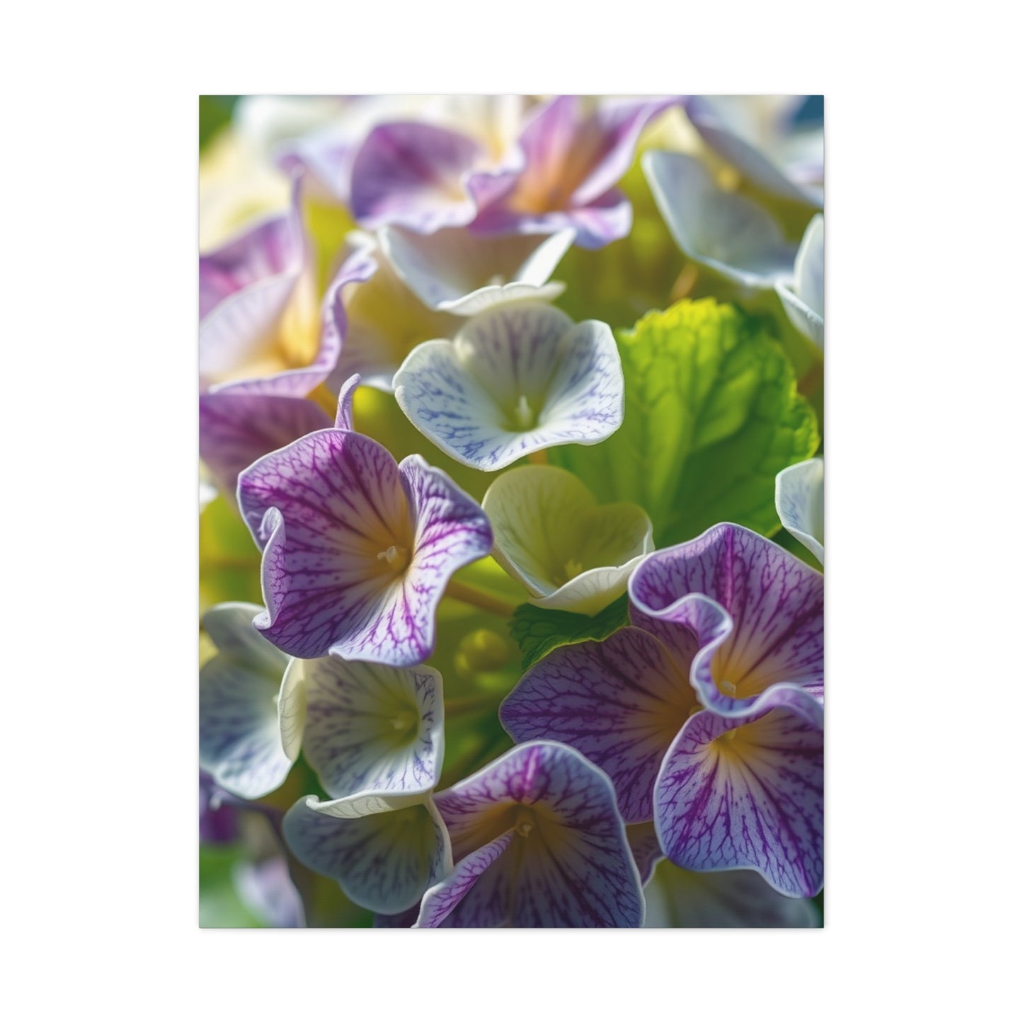 Hydrangea Flower Art Supreme Gallery Wall Art & Canvas Print