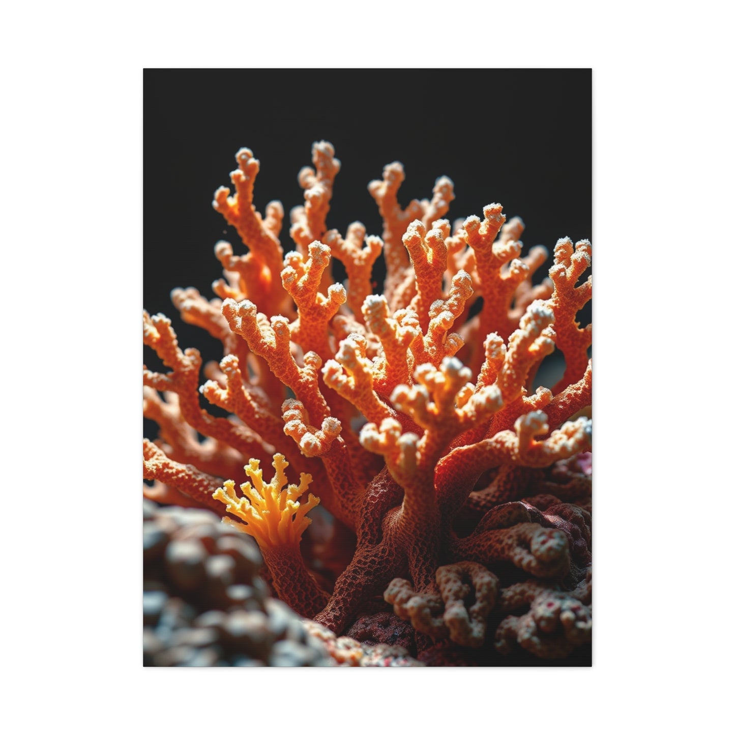 Coral Art Refined Canvas Wall Art & Canvas Print