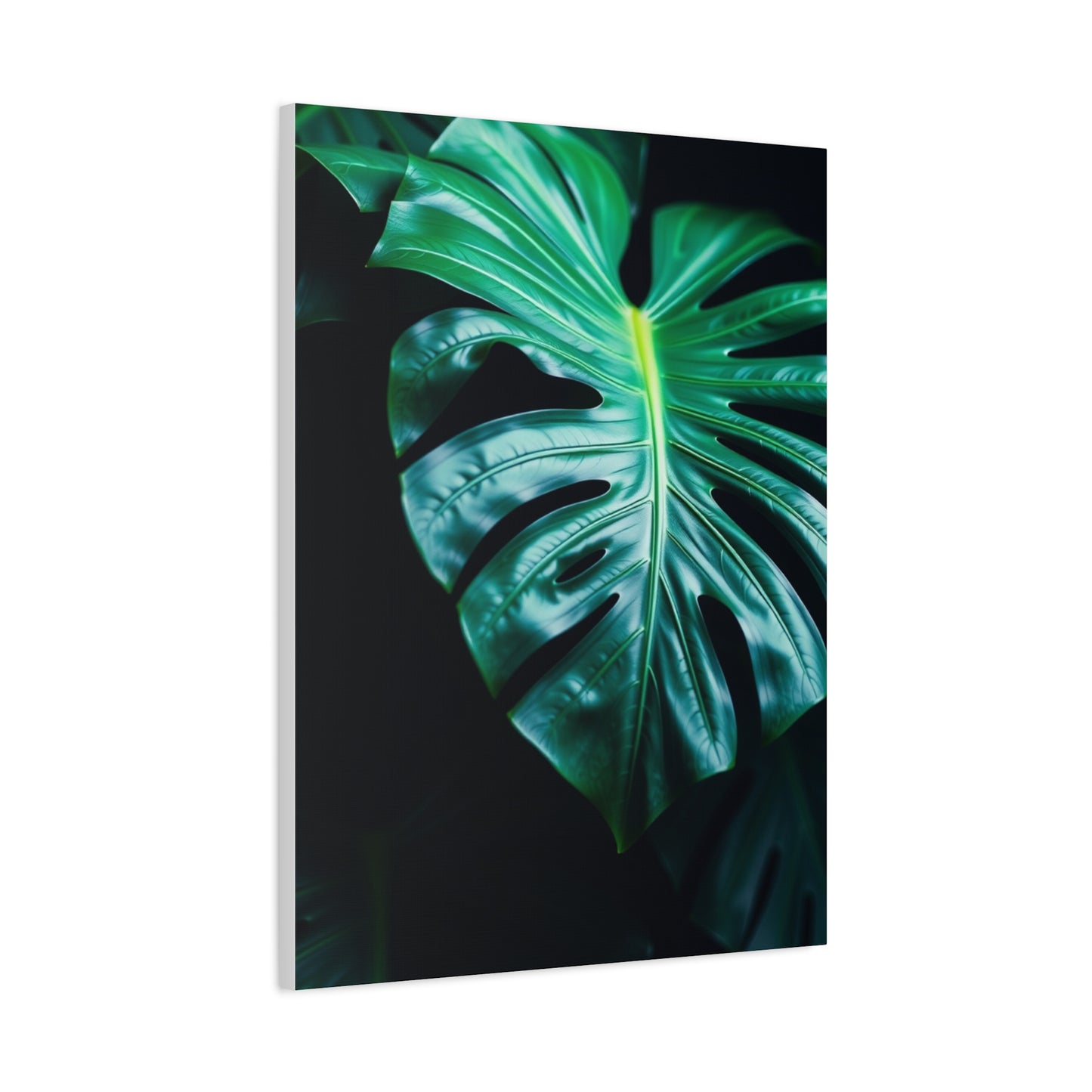 Monstera Plant Art Luxury Canvas Wall Art & Canvas Print