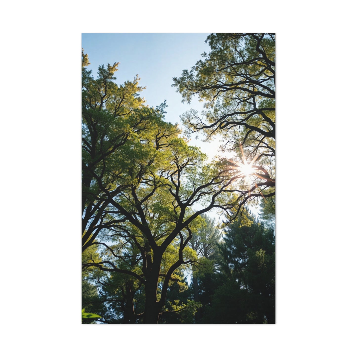 Timeless Woodland Tapestry Wall Art & Canvas Print