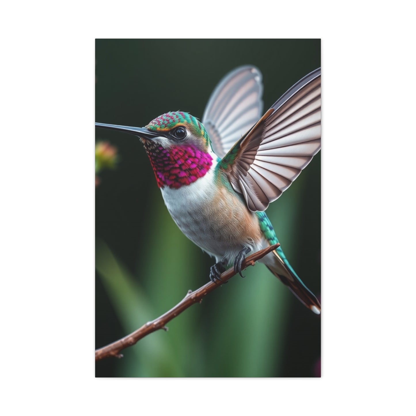 Humming Bird Art Supreme Gallery Wall Art & Canvas Print