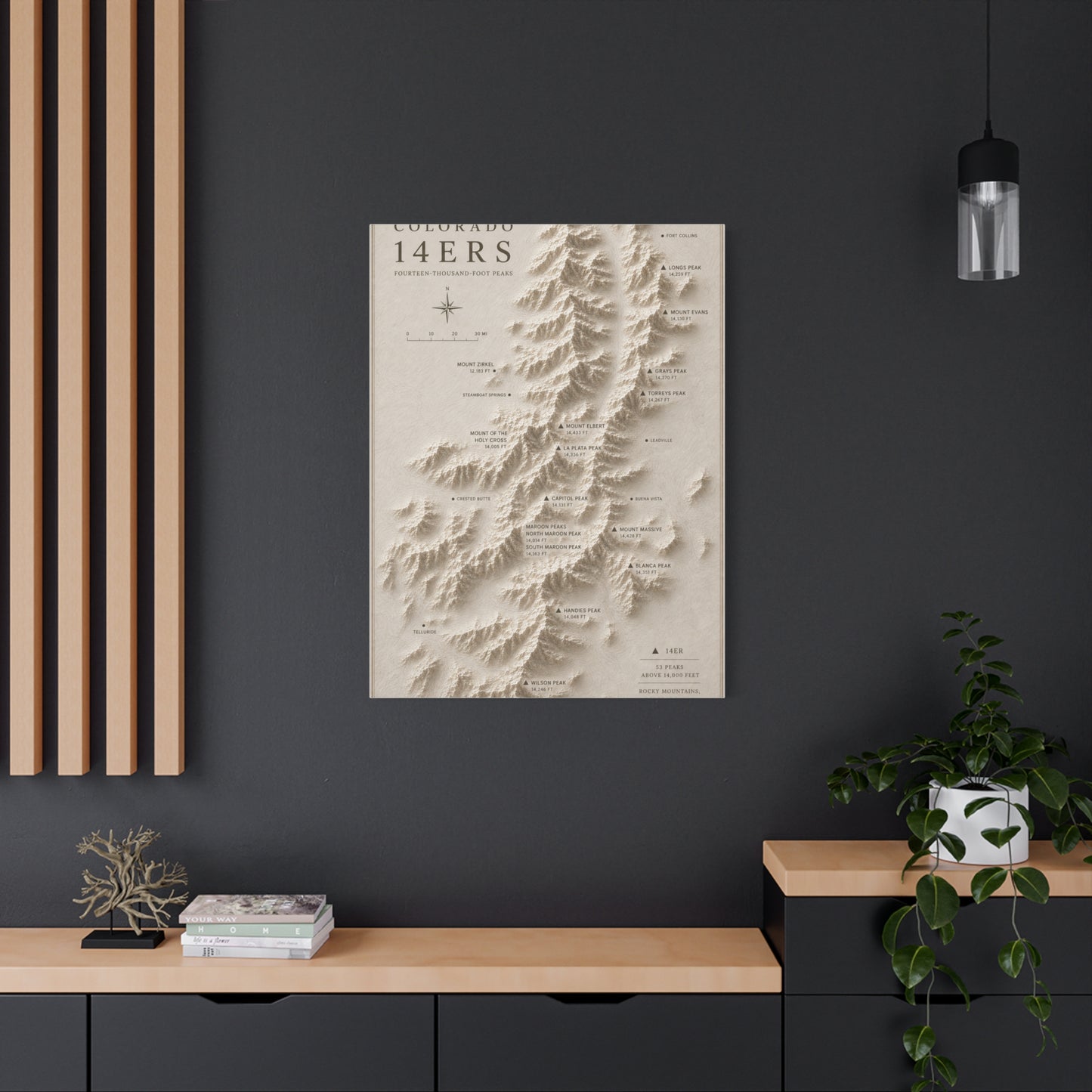 Colorado 14ers Relief Map Wall Art & Canvas Print