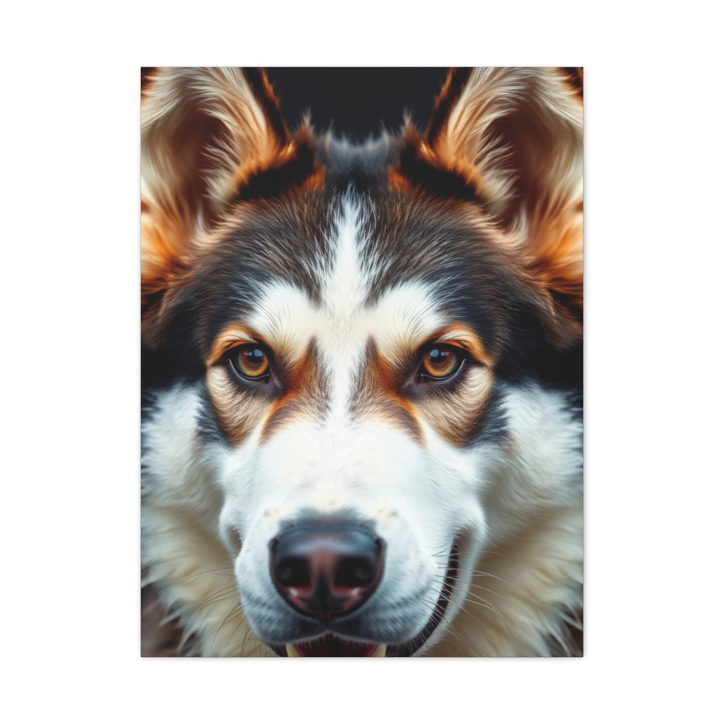 Regal Siberian Splendor