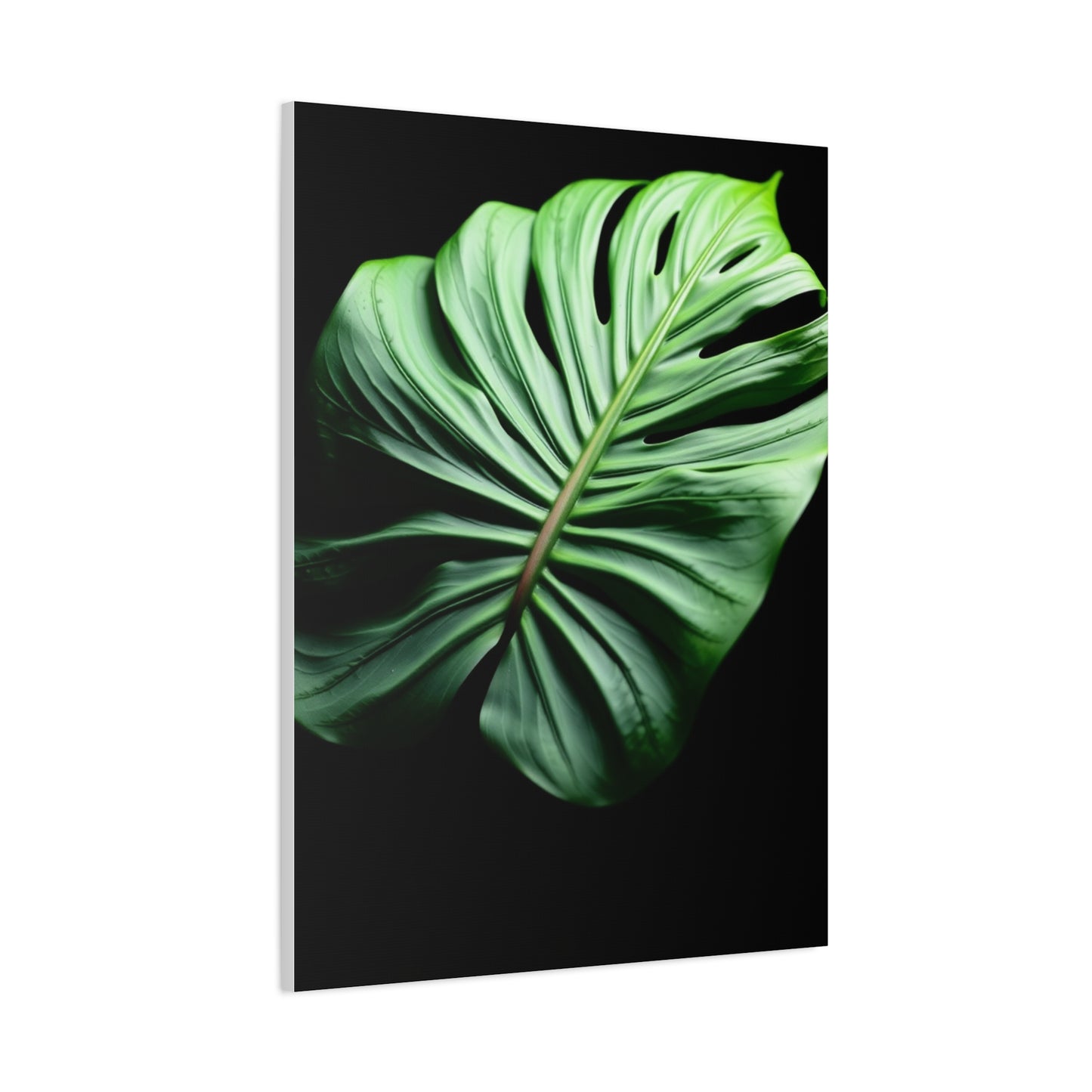Monstera Plant Art Supreme Gallery Wall Art & Canvas Print