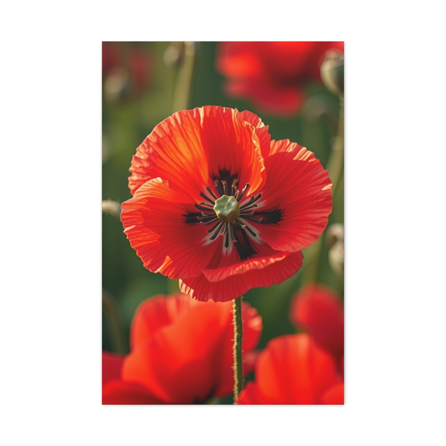 Vision Poppy Flower Art Art Wall Art & Canvas Print