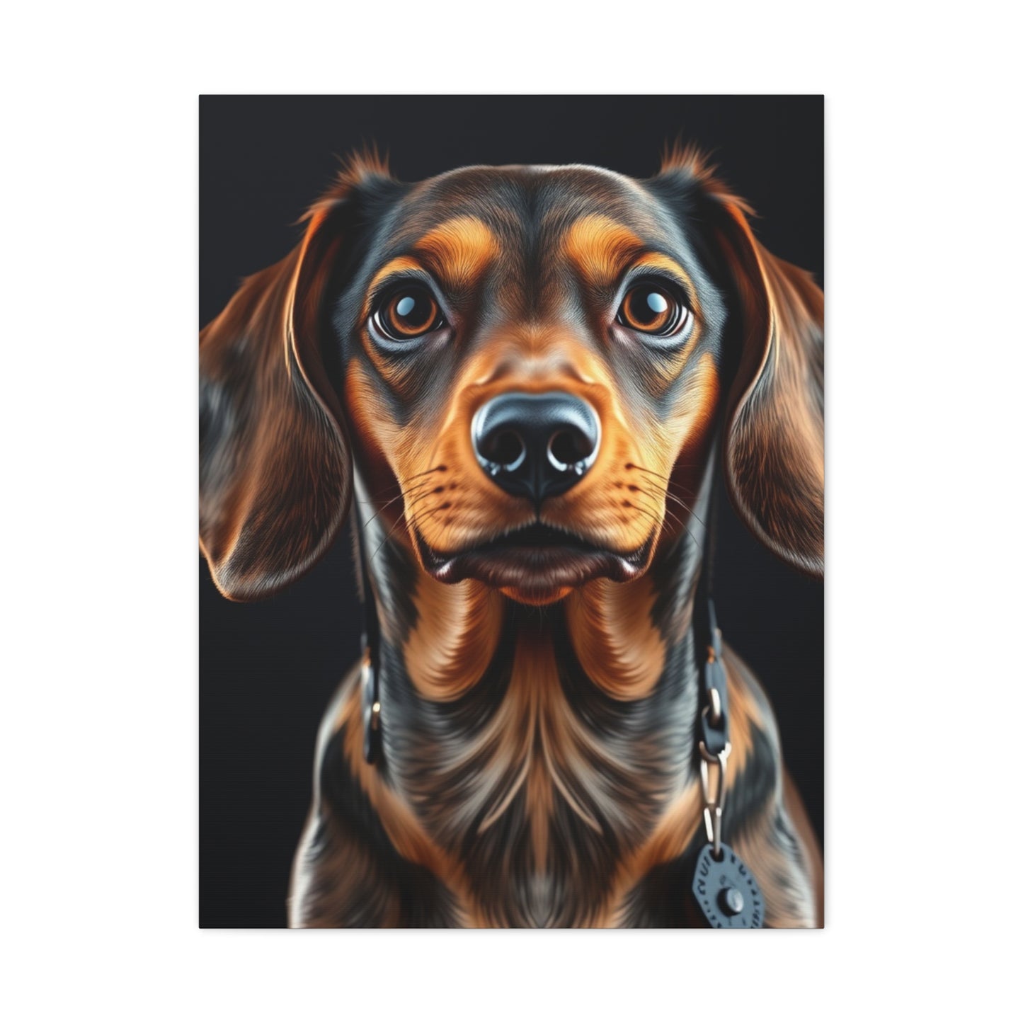 Supreme Dachshund Art Collection Wall Art & Canvas Print