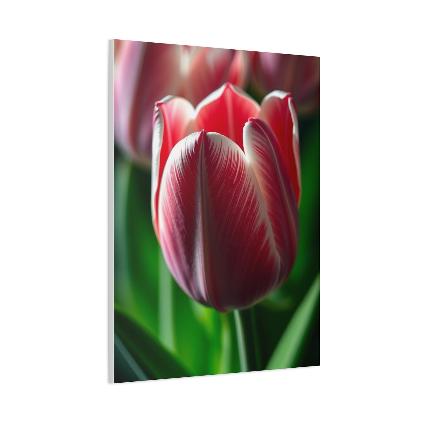 Supreme Tulip Flower Art Collection Wall Art & Canvas Print