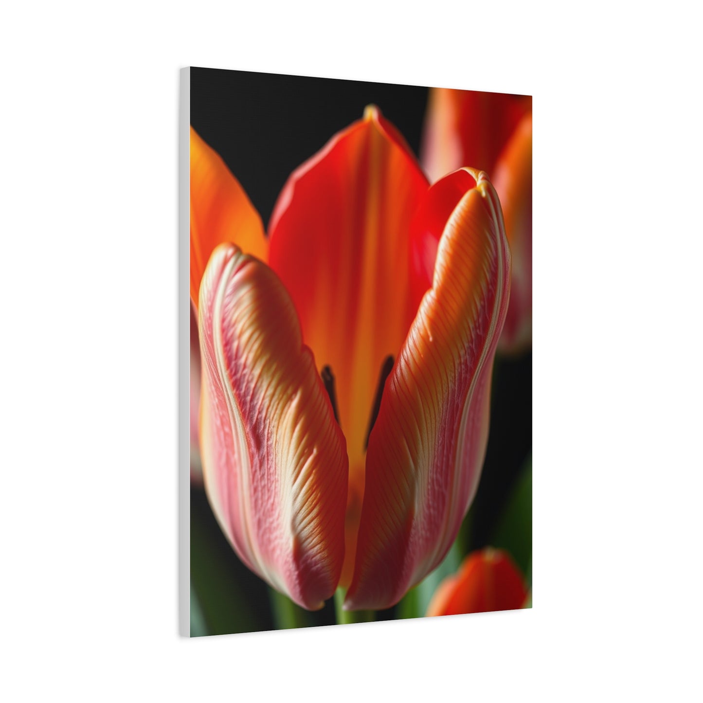 Vision Tulip Flower Art Art Wall Art & Canvas Print