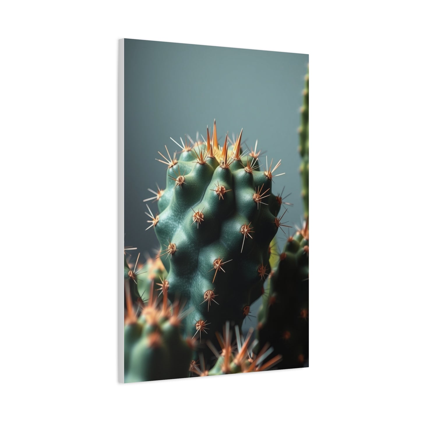 Cactus Harmony Canvas Wall Art & Canvas Print