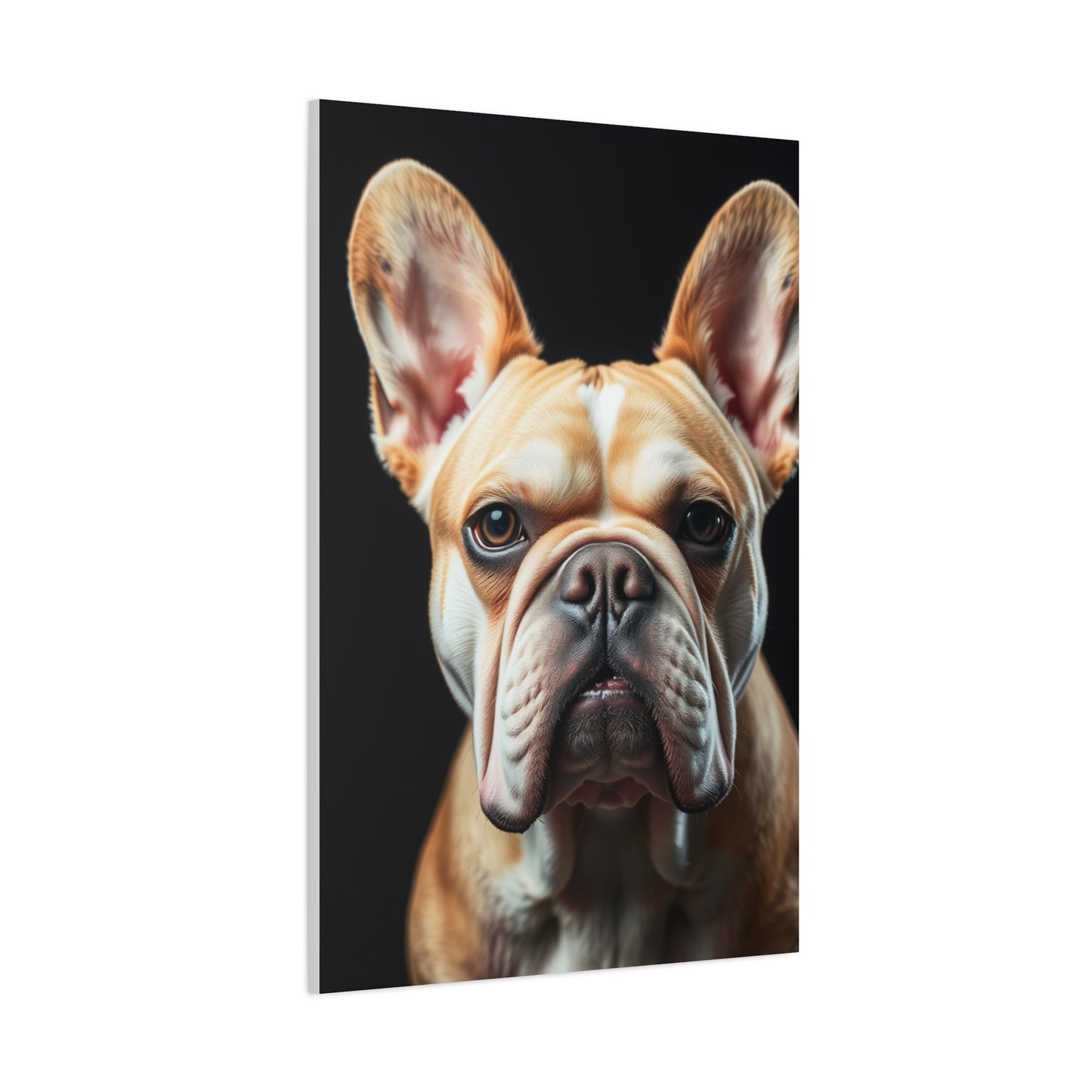 Elite French Bulldog Art Vision Wall Art & Canvas Print