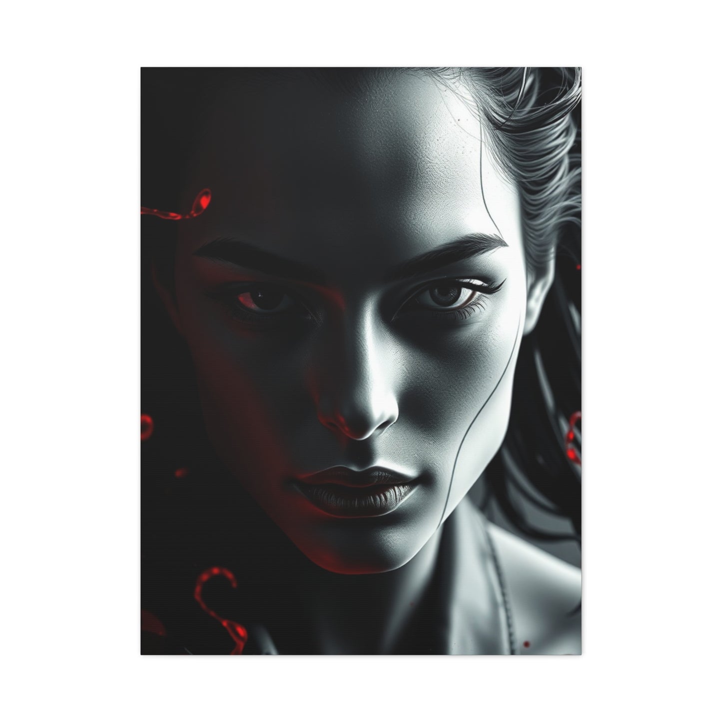 Black, White & Red Art Luxury Canvas Wall Art & Canvas Print