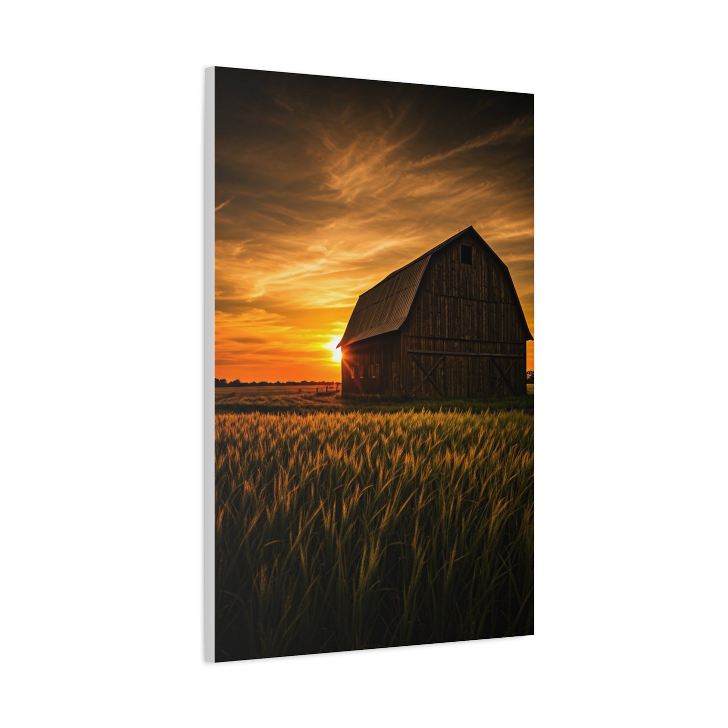 Sunset Barn in Tall Wheat Fields Wall Art & Canvas Prints
