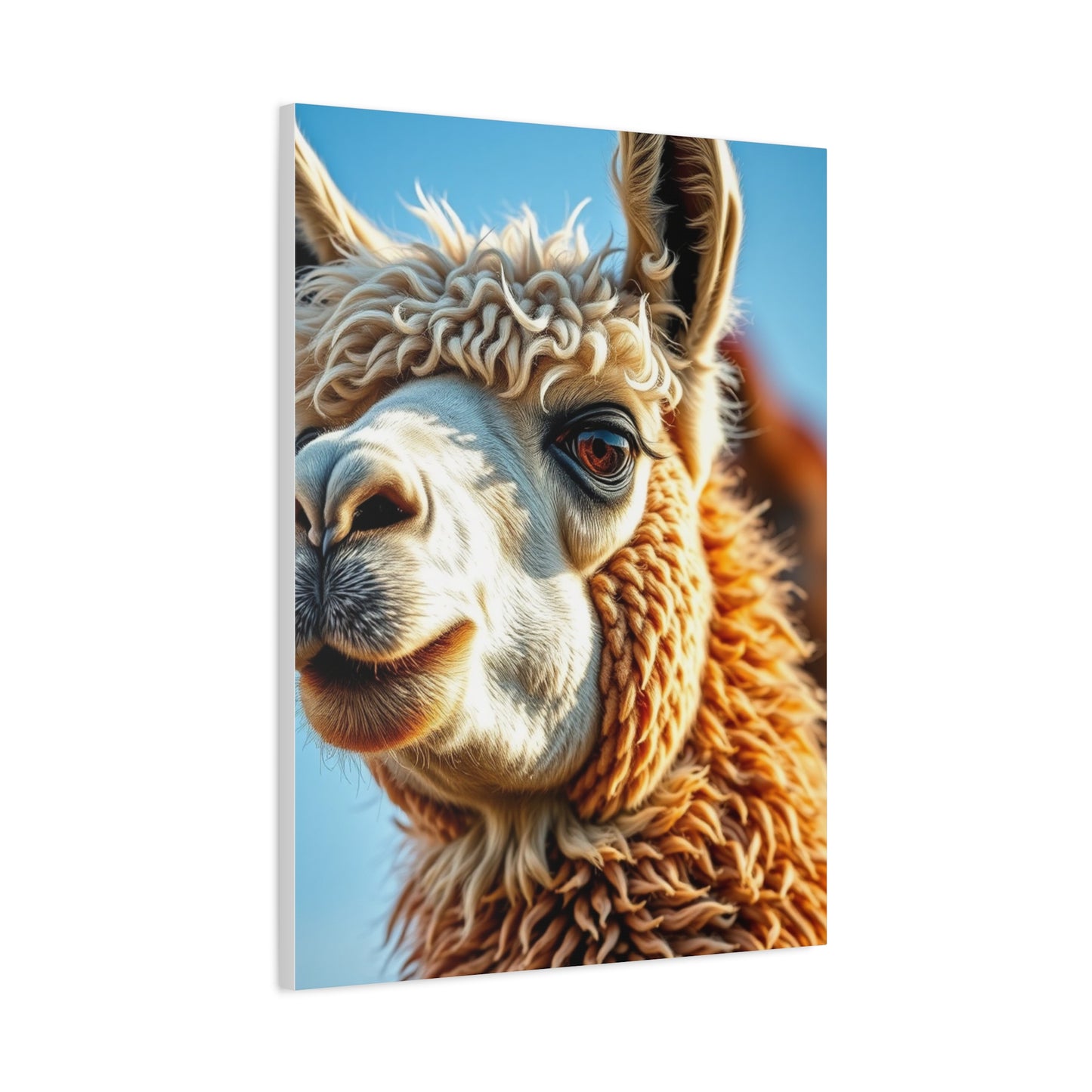 Supreme Llama & Alpaca Art Collection Wall Art & Canvas Print
