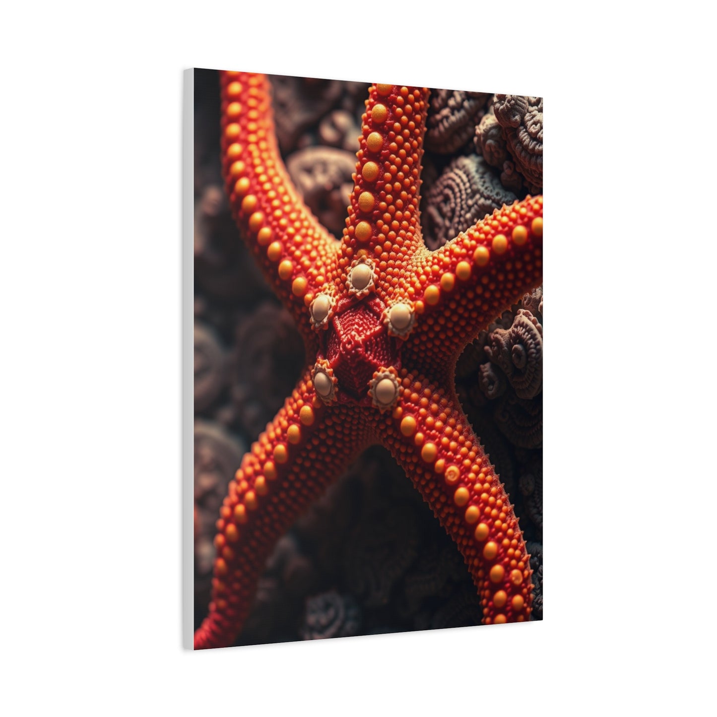 Vision Starfish Art Art Wall Art & Canvas Print