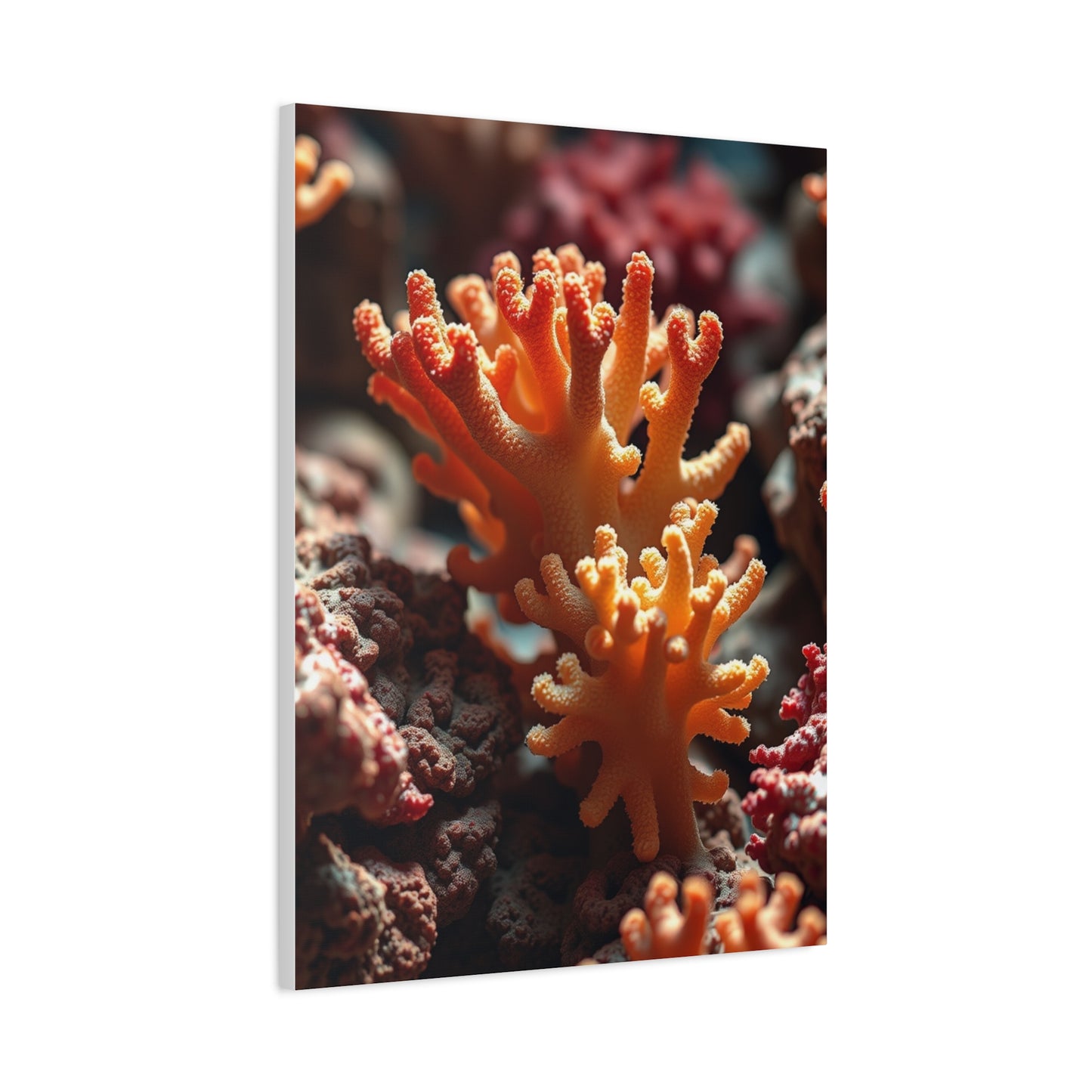 Coral Art Supreme Gallery Wall Art & Canvas Print