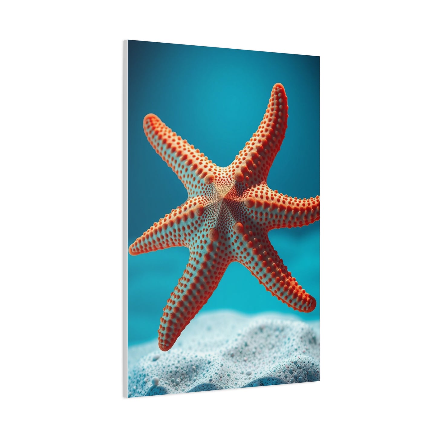 Starfish Art Supreme Gallery Wall Art & Canvas Print