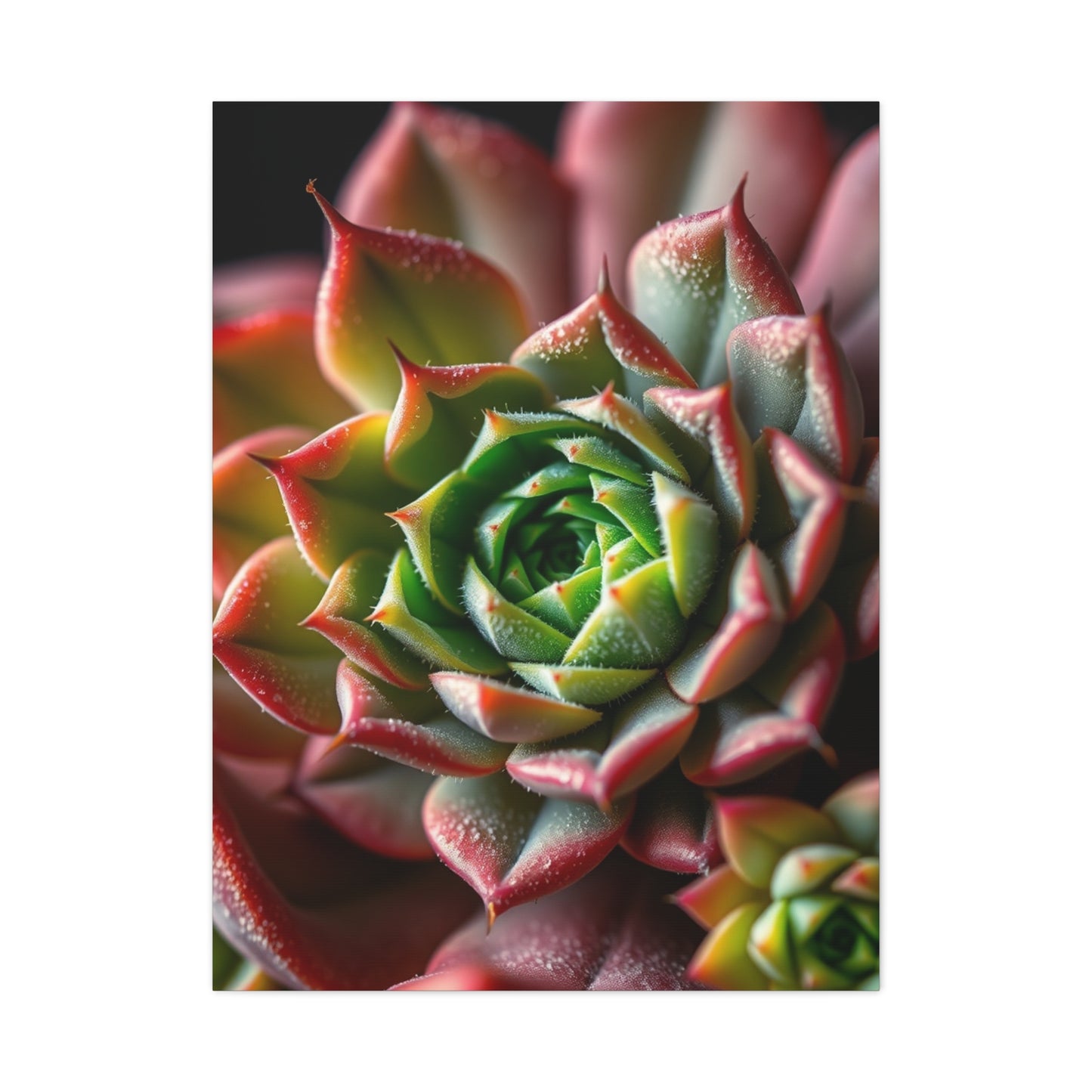 Vision Succulent Art Art Wall Art & Canvas Print