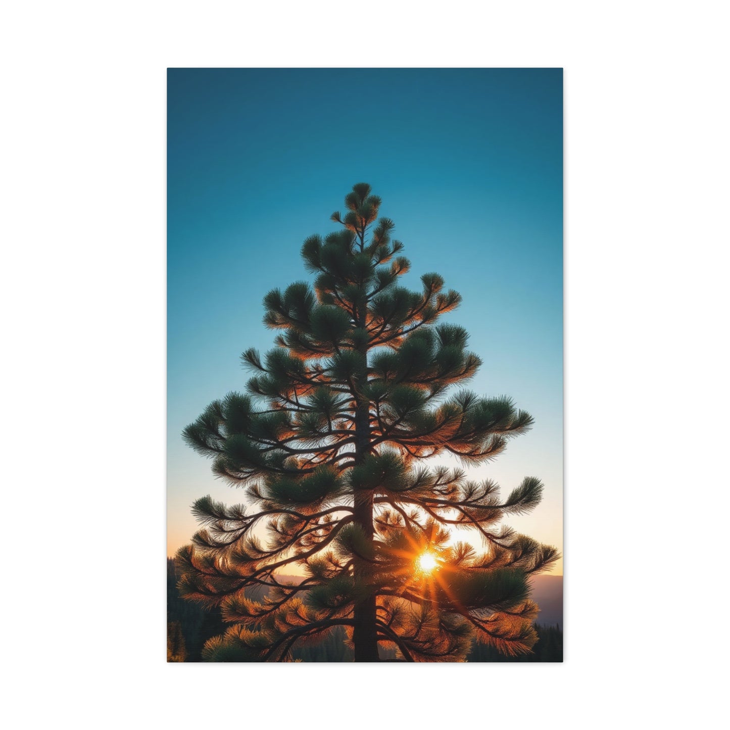 Supreme Pine Tree Art Collection Wall Art & Canvas Print