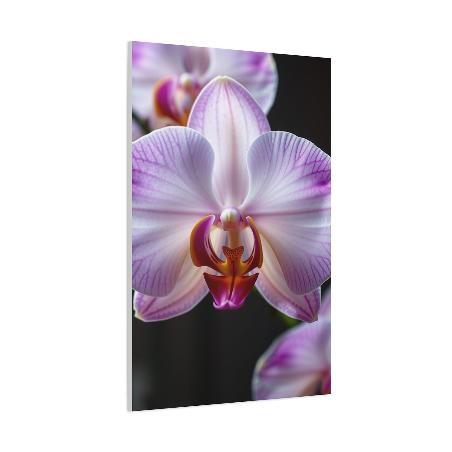 Orchid Flower Art Refined Canvas Wall Art & Canvas Print