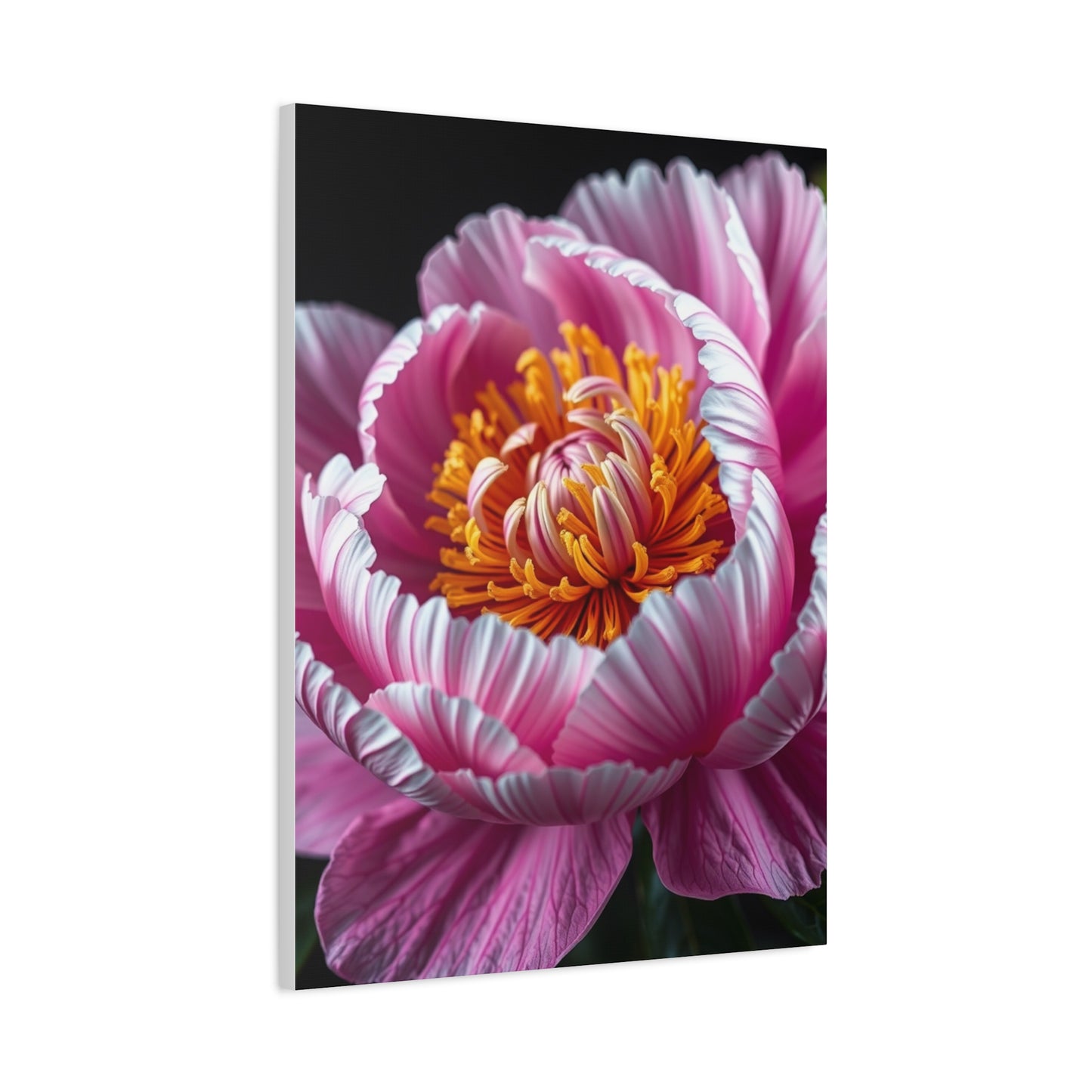 Celestial Peony Elegance Wall Art & Canvas Print