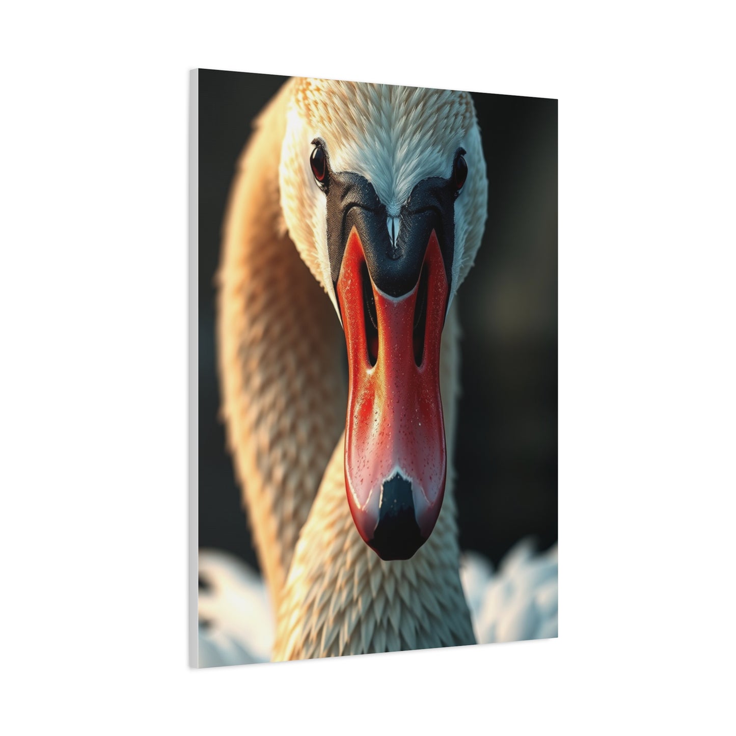 Swan Art Refined Canvas Wall Art & Canvas Print