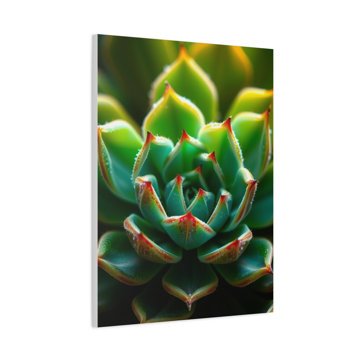 Succulent Art Luxury Canvas Wall Art & Canvas Print