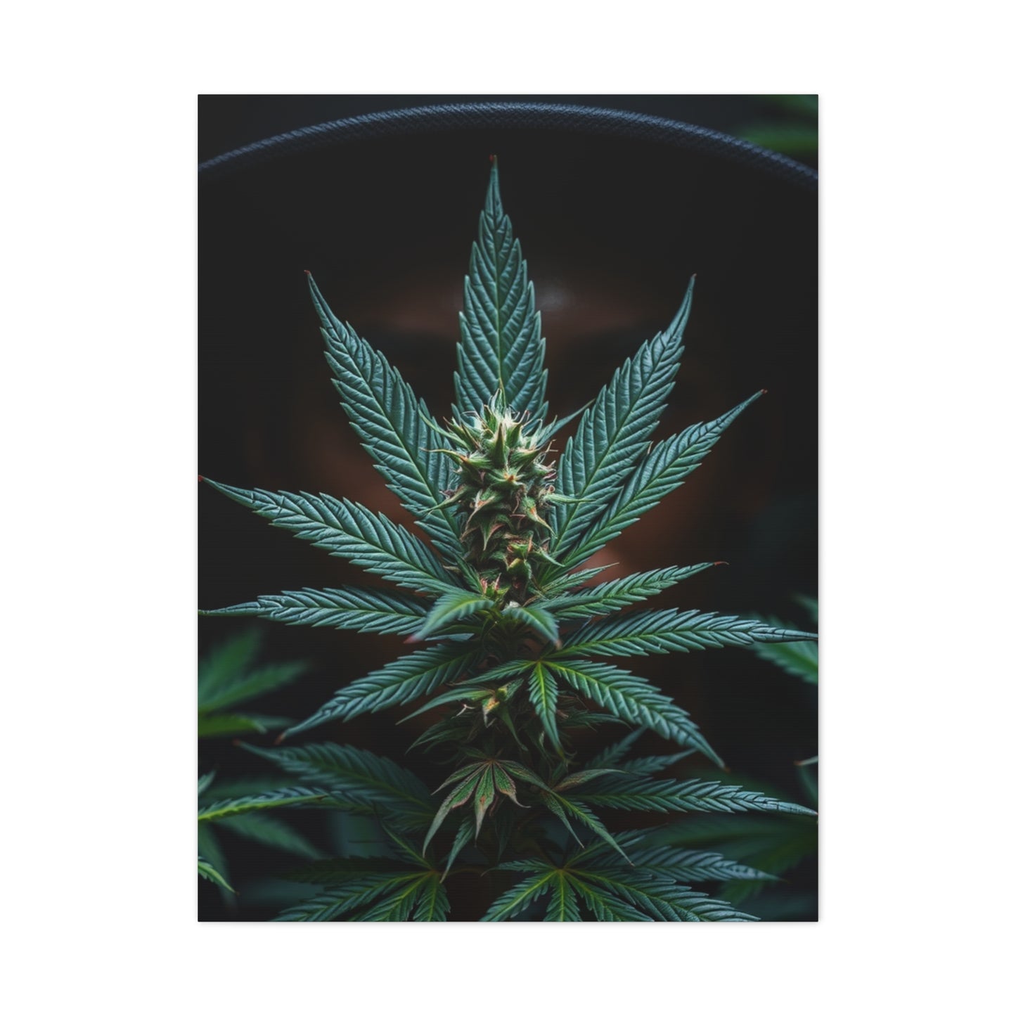 The Emerald Odyssey Wall Art & Canvas Print