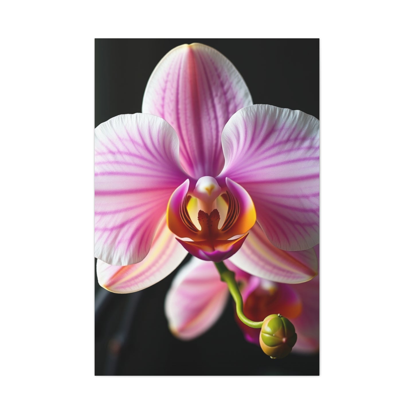 Vision Orchid Flower Art Art Wall Art & Canvas Print