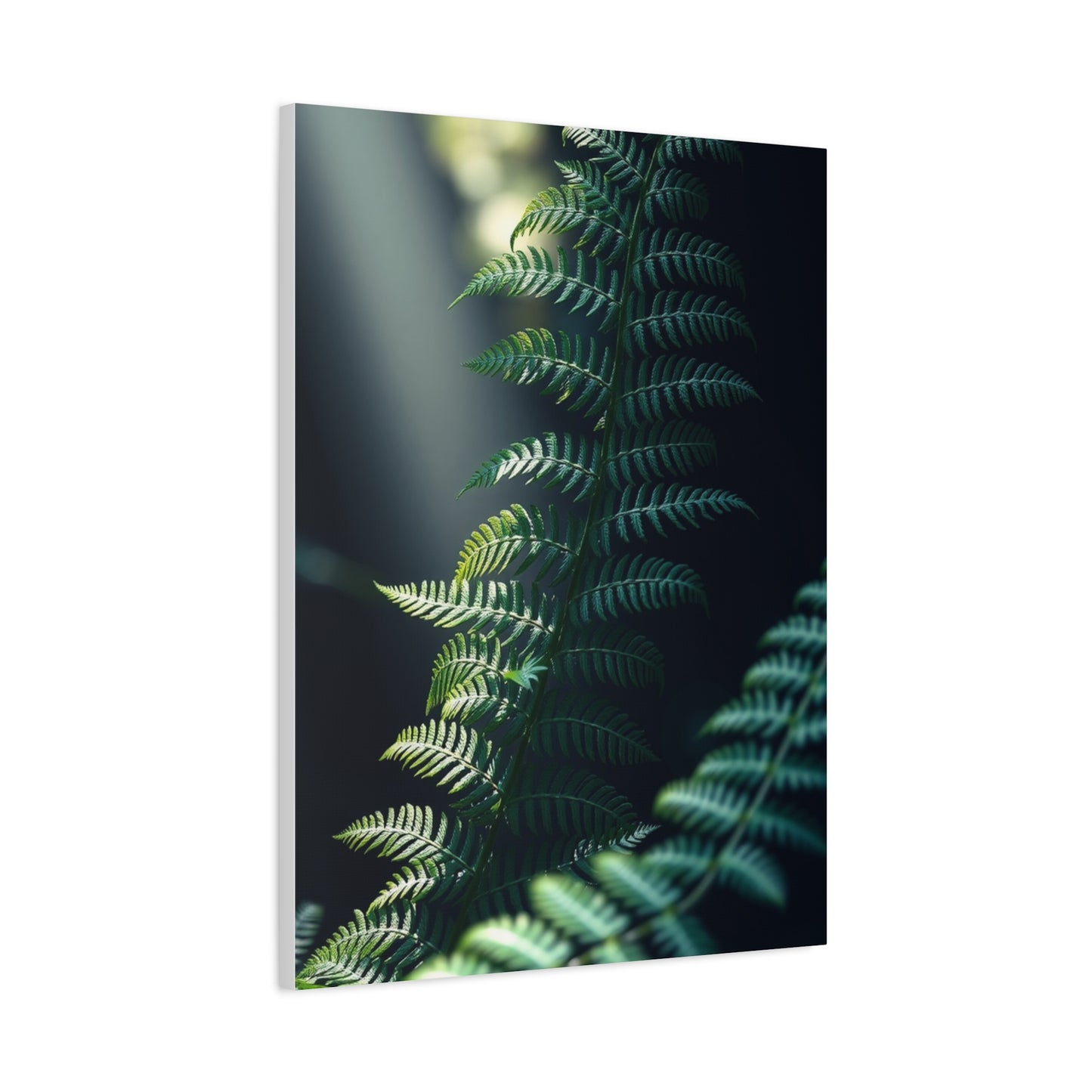 Vision Fern Art Art Wall Art & Canvas Print