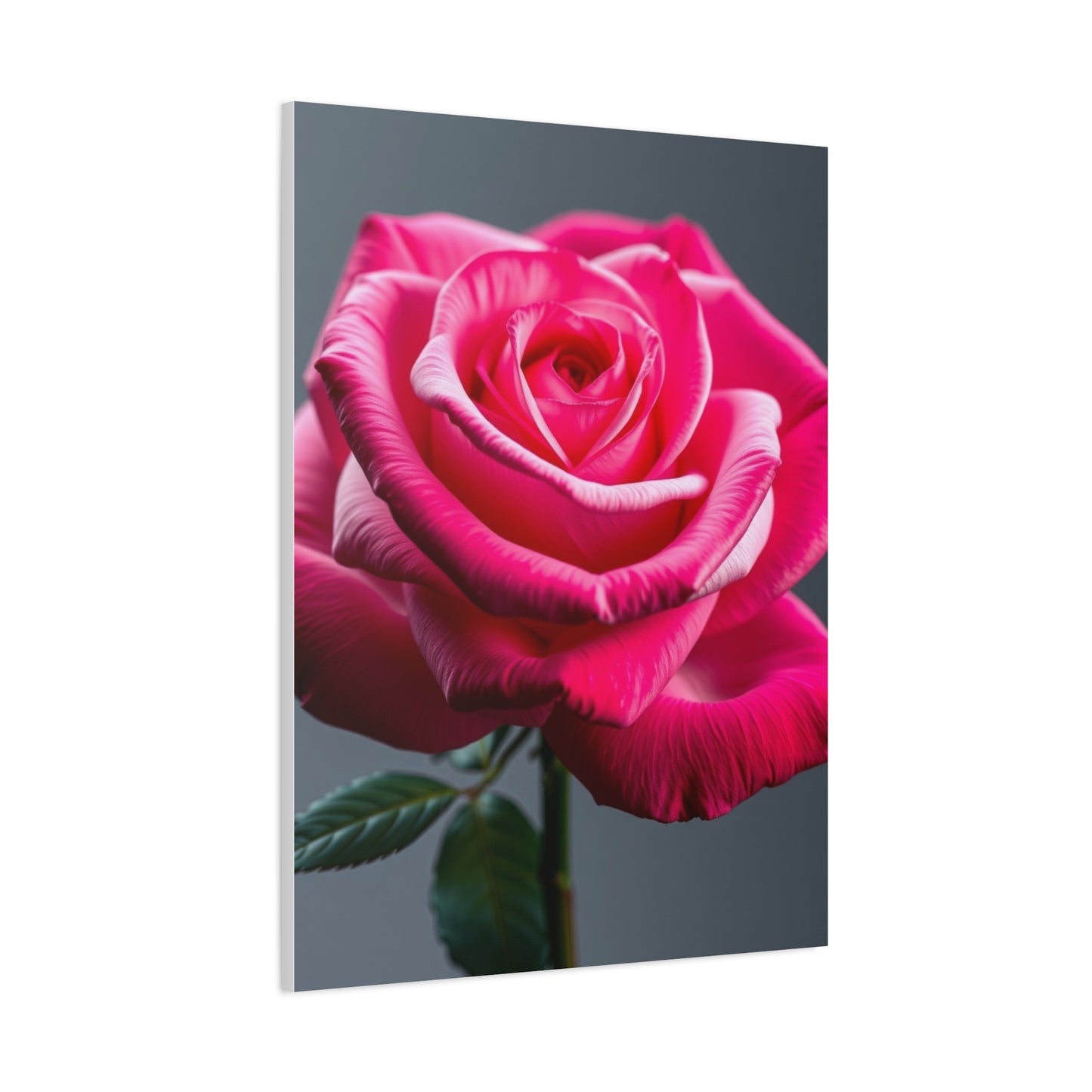 Rose Flower Art Luxury Canvas Wall Art & Canvas Print