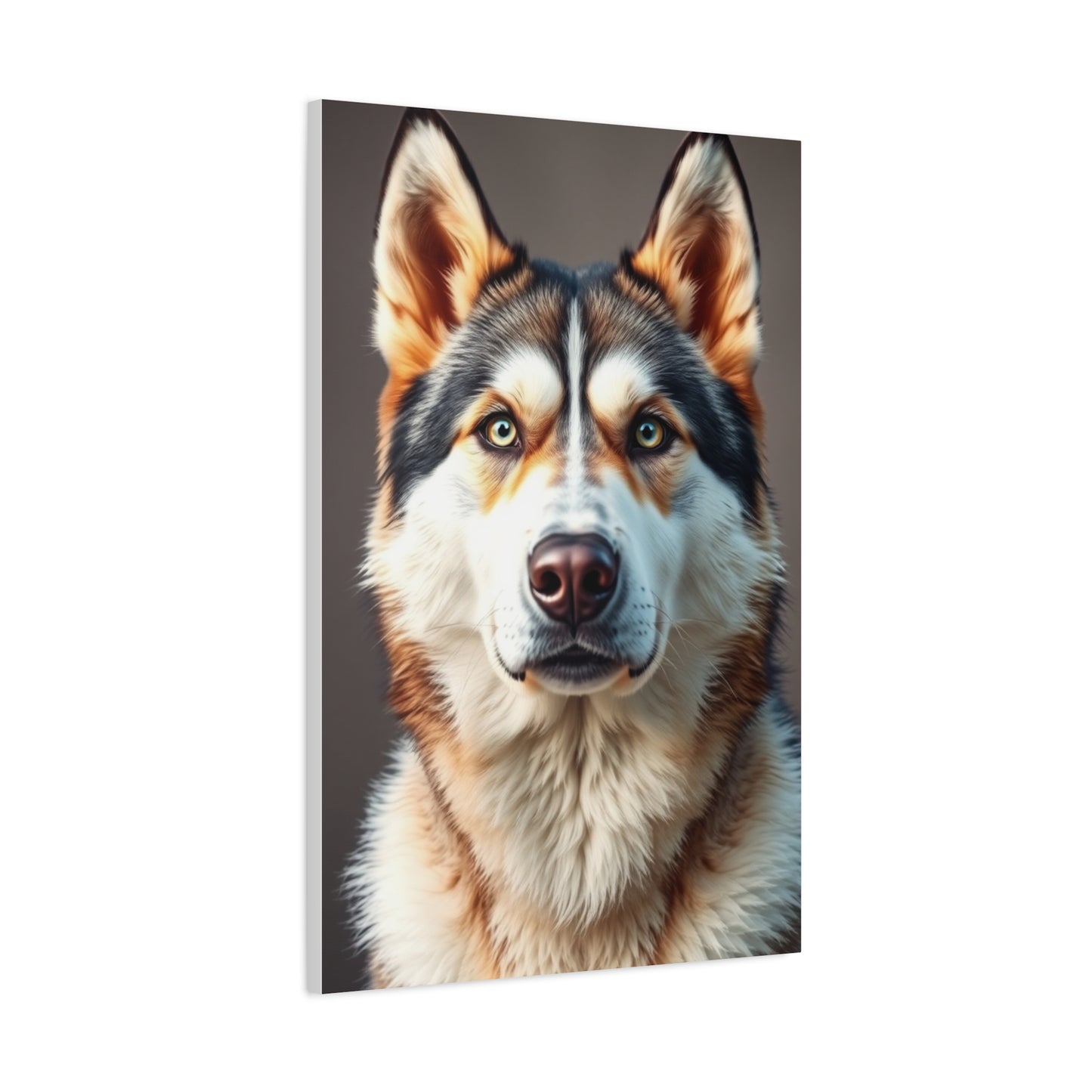 Celestial Husky Portraits