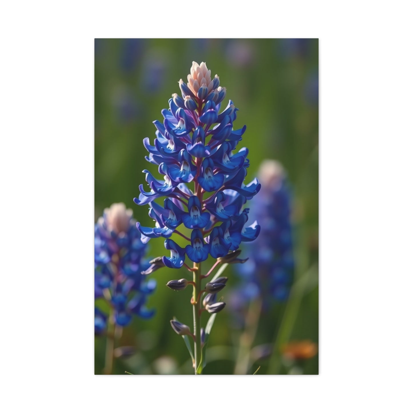 Bluebonnet Flower Art Refined Canvas Wall Art & Canvas Print