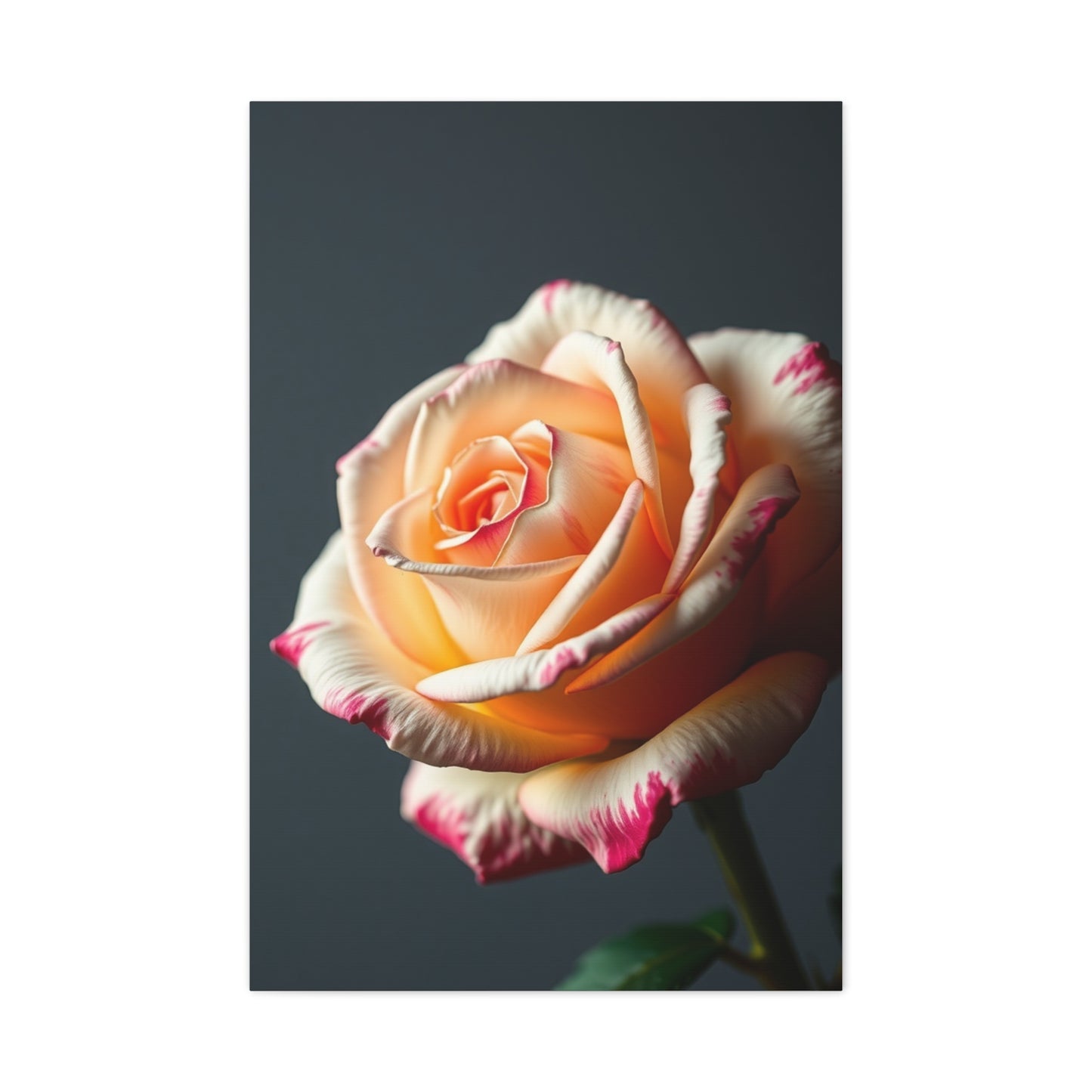 Elite Rose Flower Art Vision Wall Art & Canvas Print