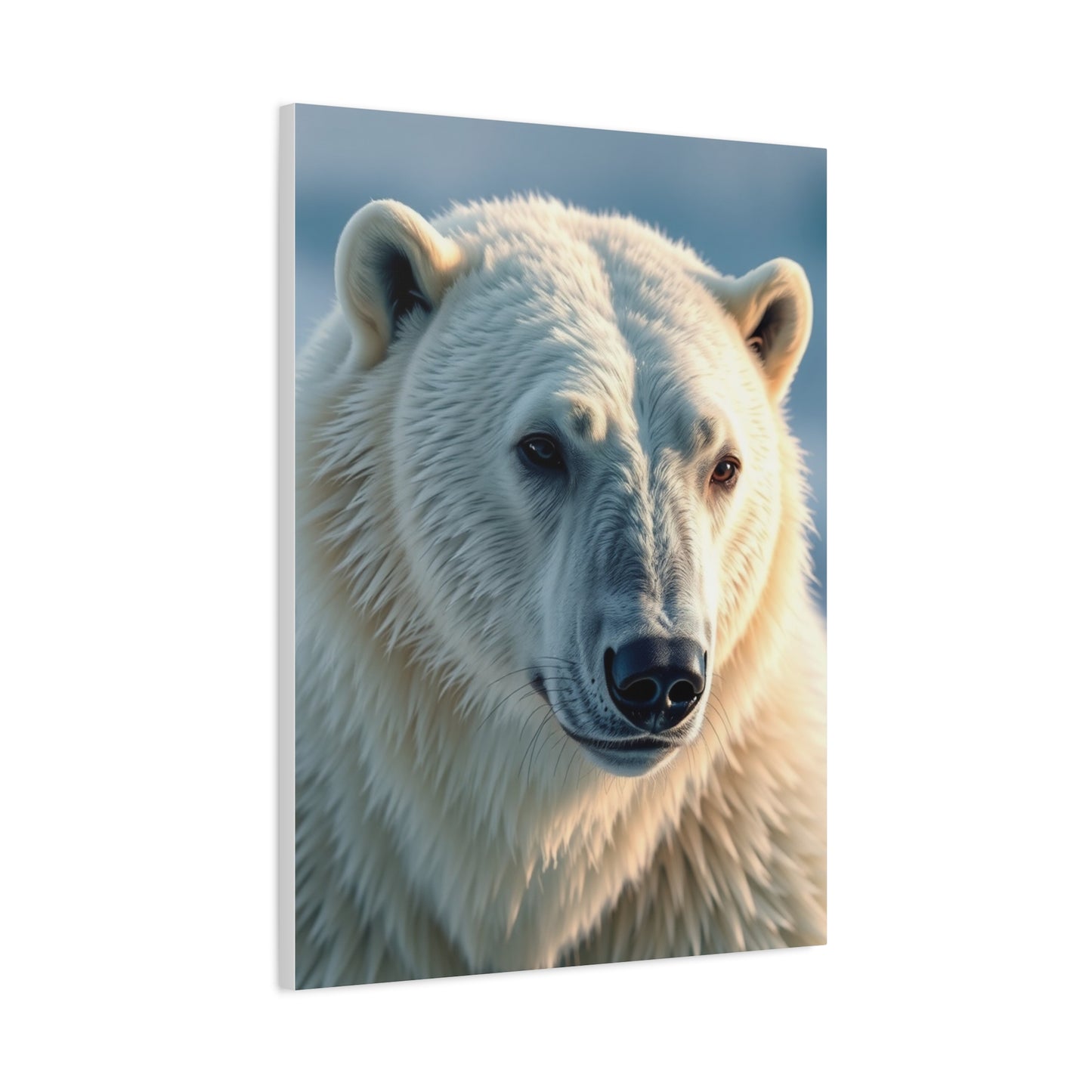 Polar Bear Art Luxury Canvas Wall Art & Canvas Print