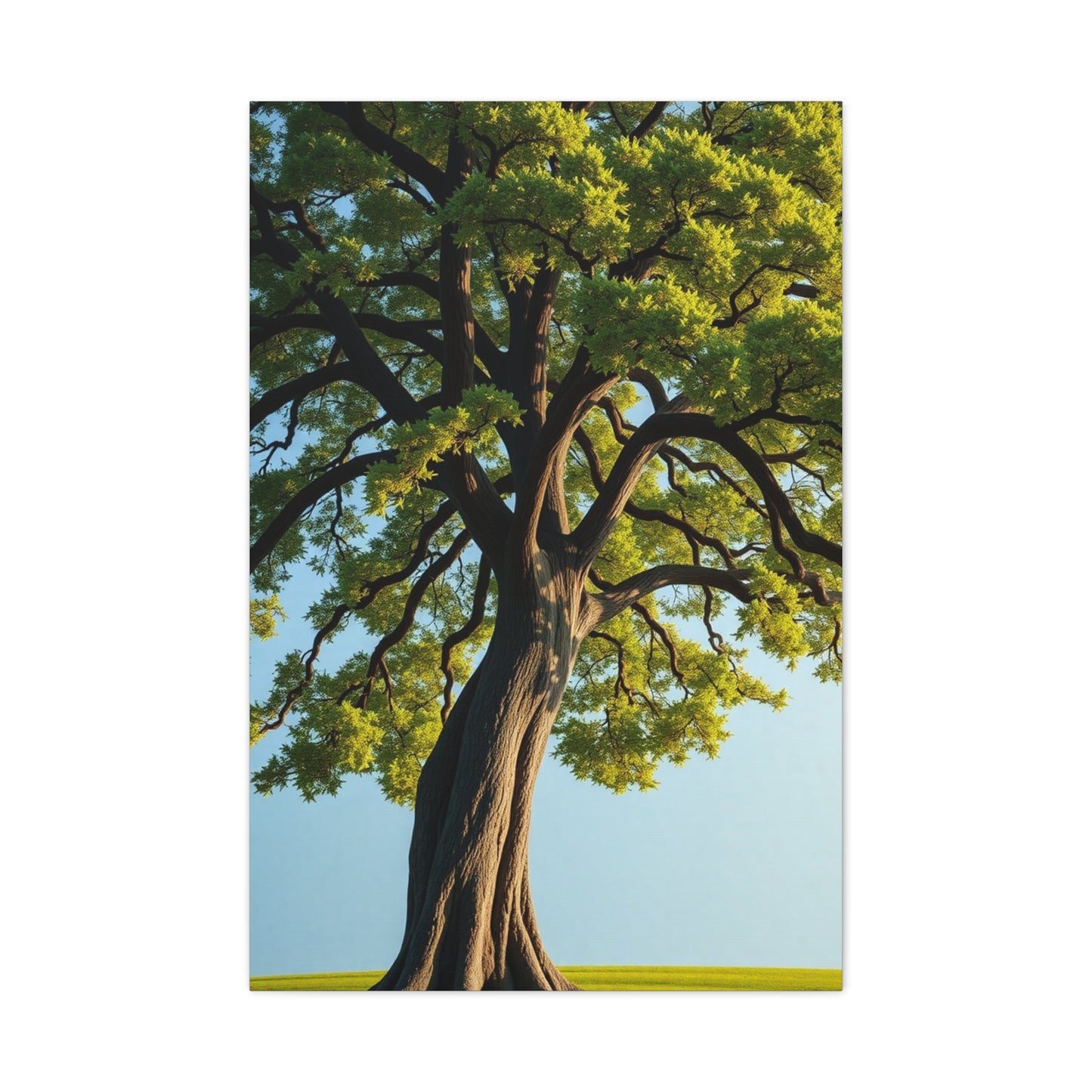 Elite Oak Tree Art Vision Wall Art & Canvas Print