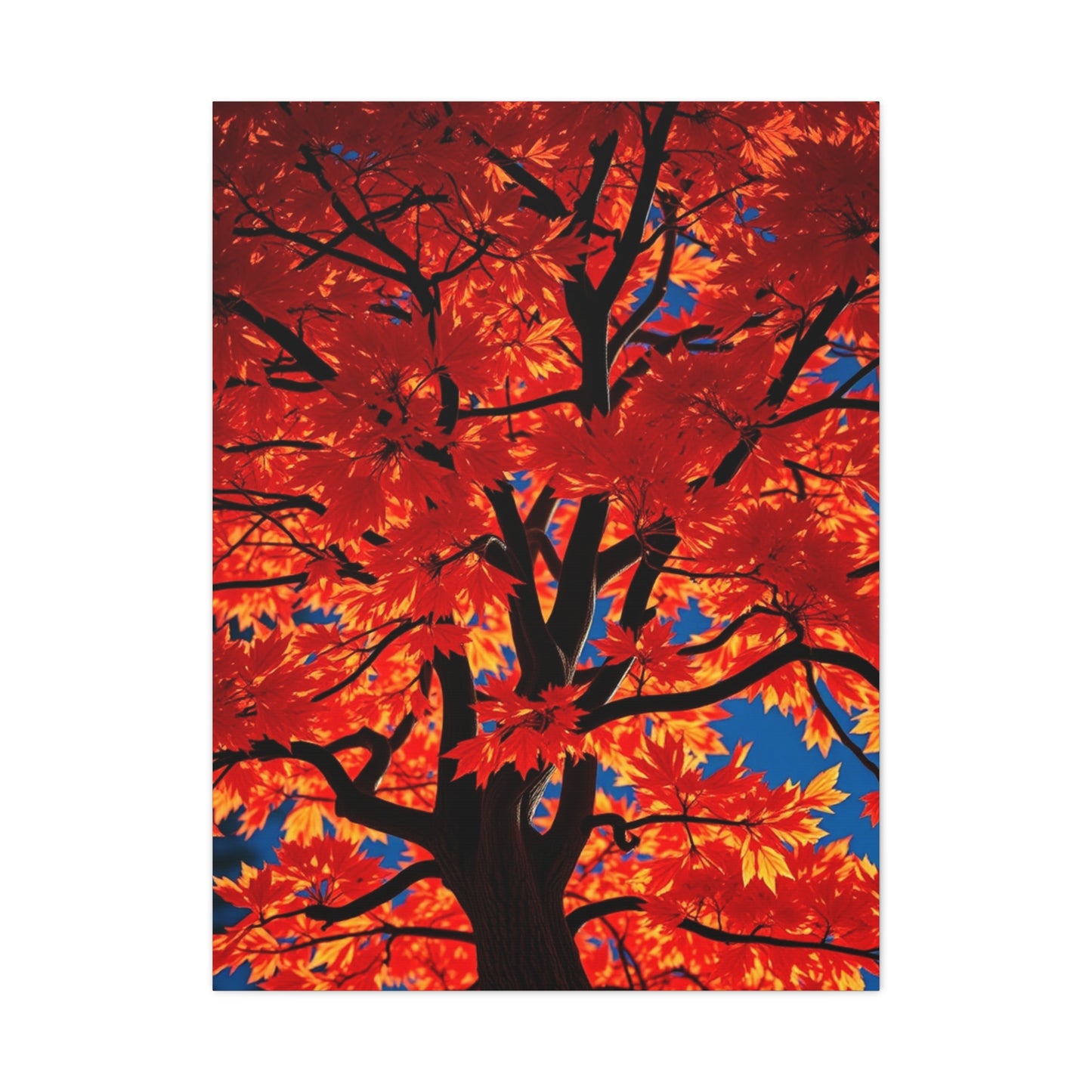 Maple Tree Art Supreme Gallery Wall Art & Canvas Print