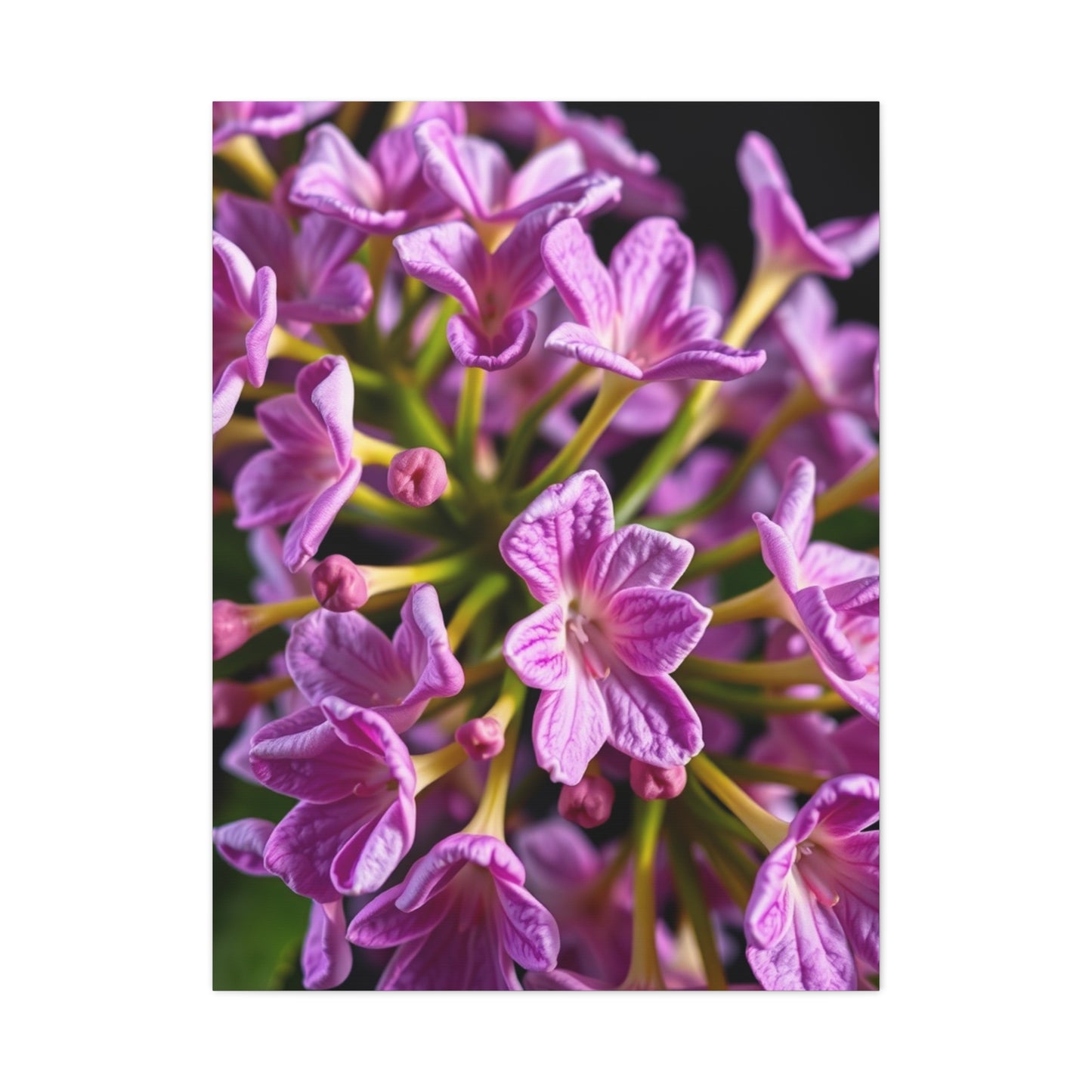 Collection Lilac Flower Art Art Wall Art & Canvas Print