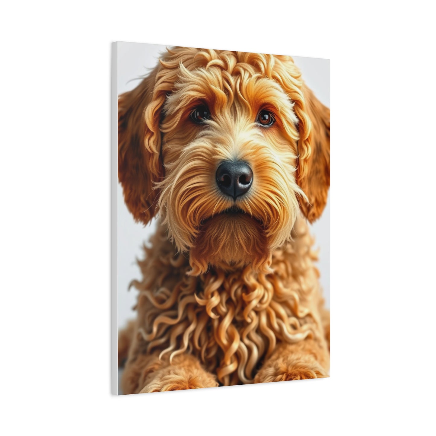 Vision Golden Doodle Art Art Wall Art & Canvas Print